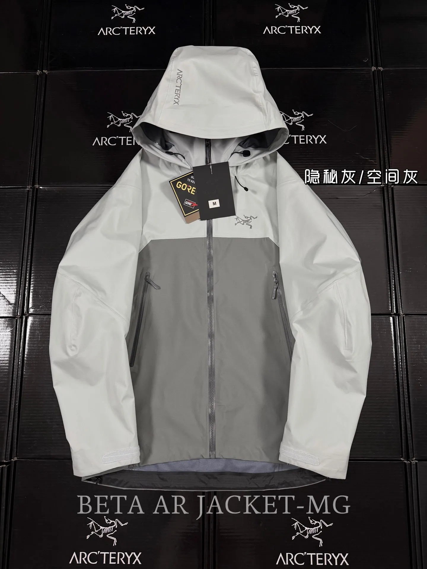 Beta AR GORE-TEX PRO Hooded Shell Jacket D43020796