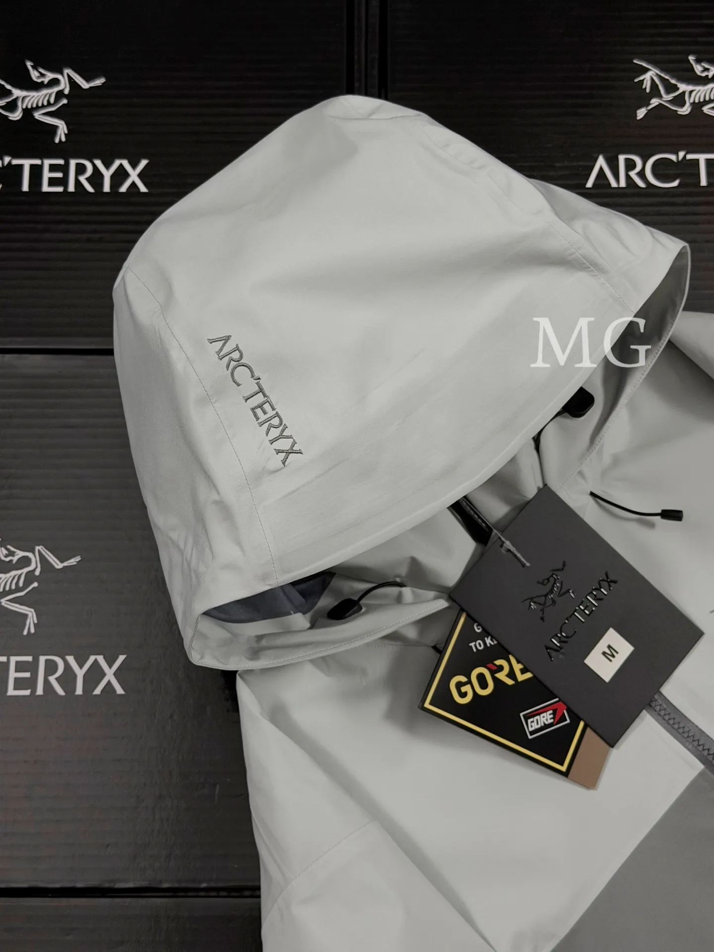 Beta AR GORE-TEX PRO Hooded Shell Jacket D43020796 — view 3