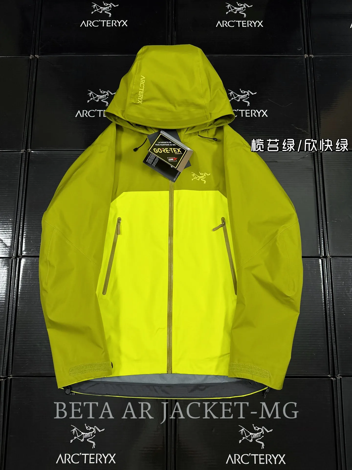 Beta AR GORE-TEX PRO Hooded Shell Jacket D43020795