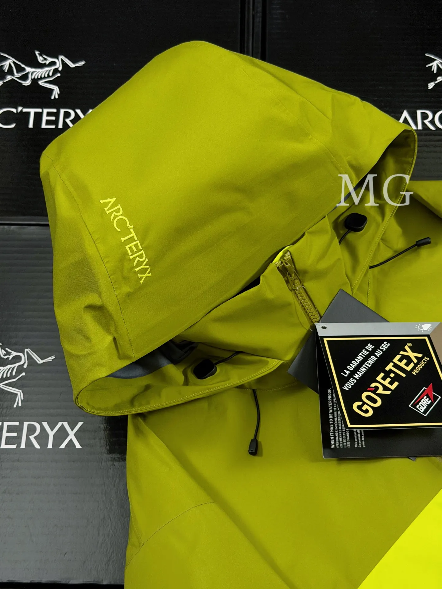 Beta AR GORE-TEX PRO Hooded Shell Jacket D43020795 — view 3