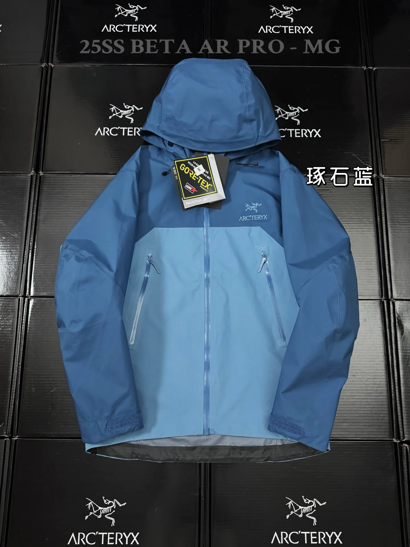 Beta AR GORE-TEX PRO Hooded Shell Jacket D43020802