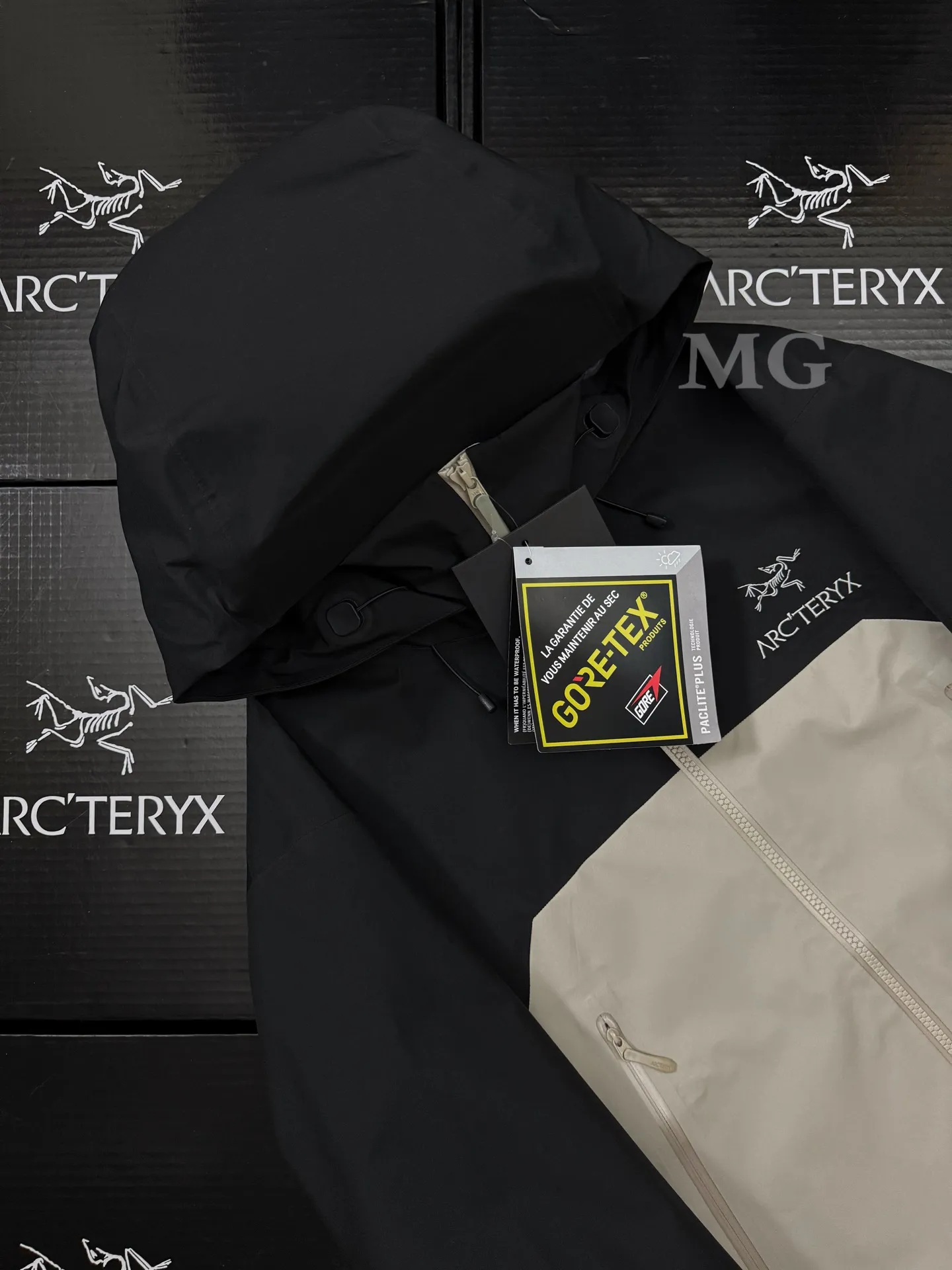 Beta AR GORE-TEX PRO Hooded Shell Jacket D43020800 — view 3