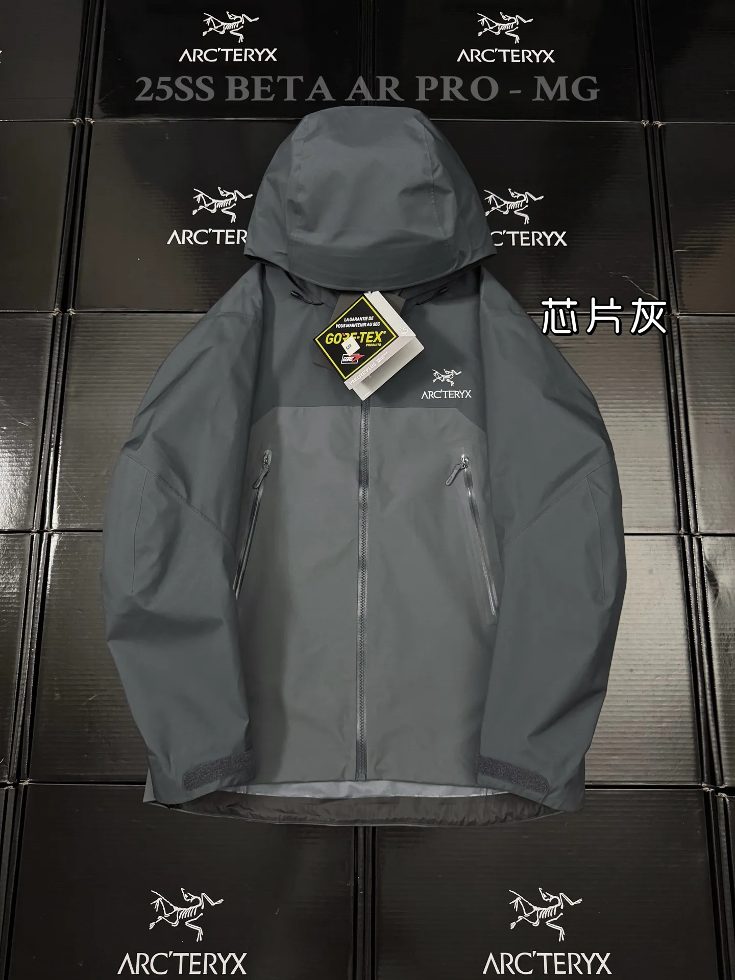 Beta AR GORE-TEX PRO Hooded Shell Jacket D43020798