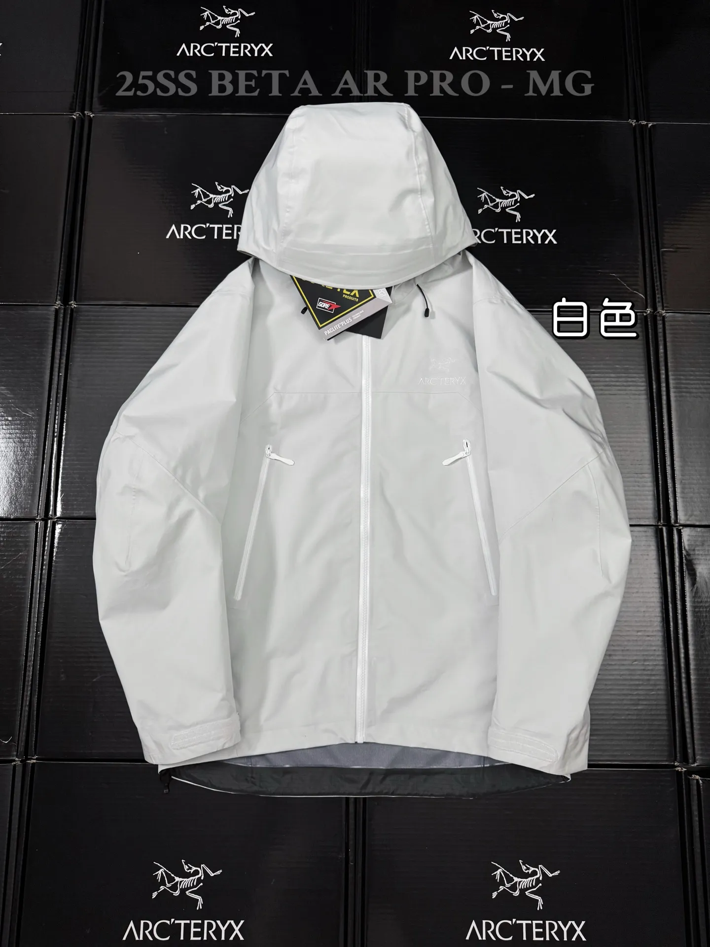 Beta AR GORE-TEX PRO Hooded Shell Jacket D43020799