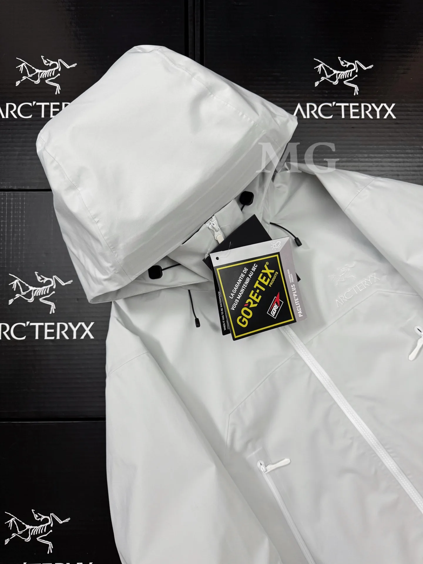 Beta AR GORE-TEX PRO Hooded Shell Jacket D43020799 — view 3