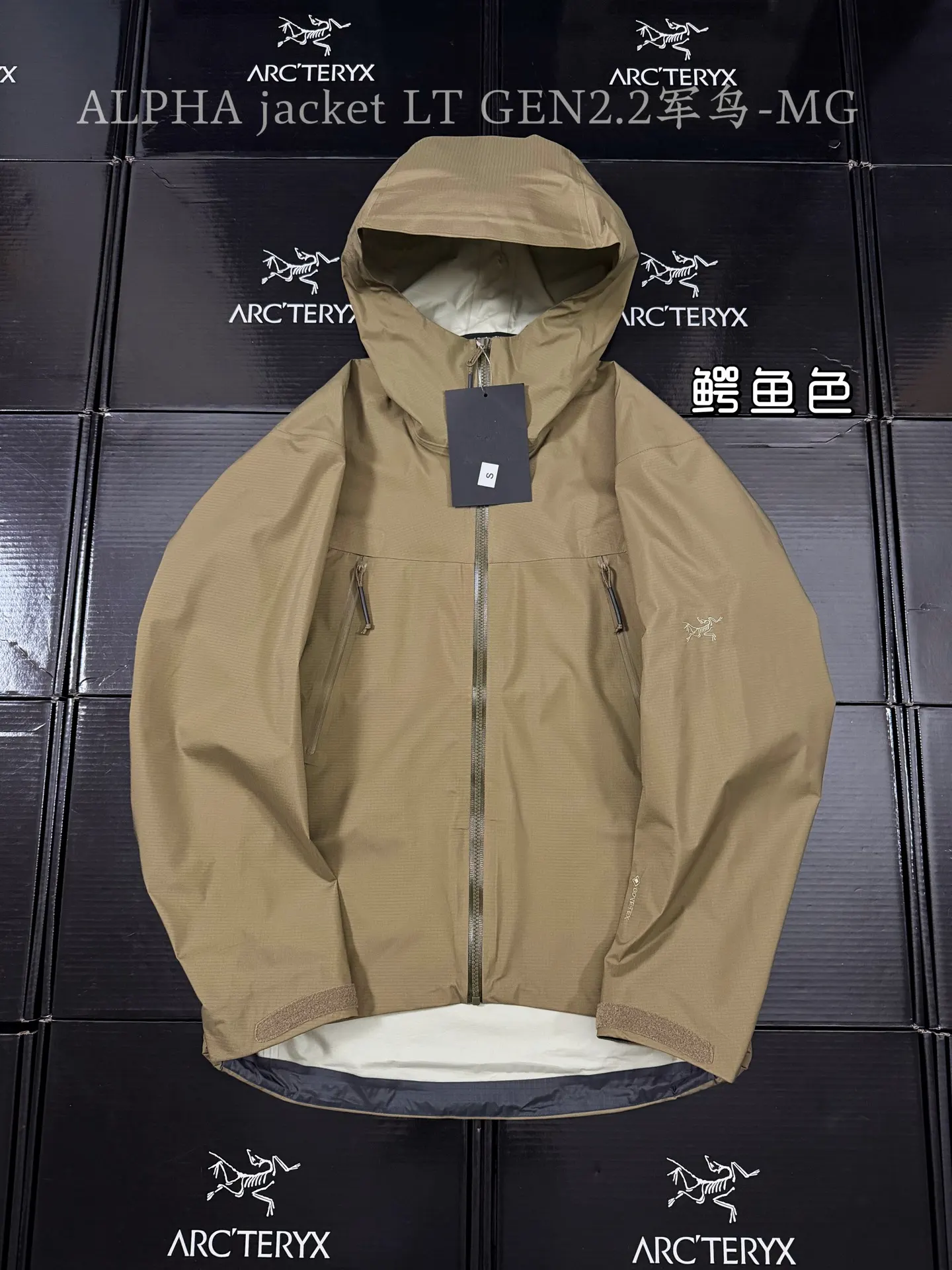 Alpha LT GORE-TEX Hooded Shell Jacket D43020819