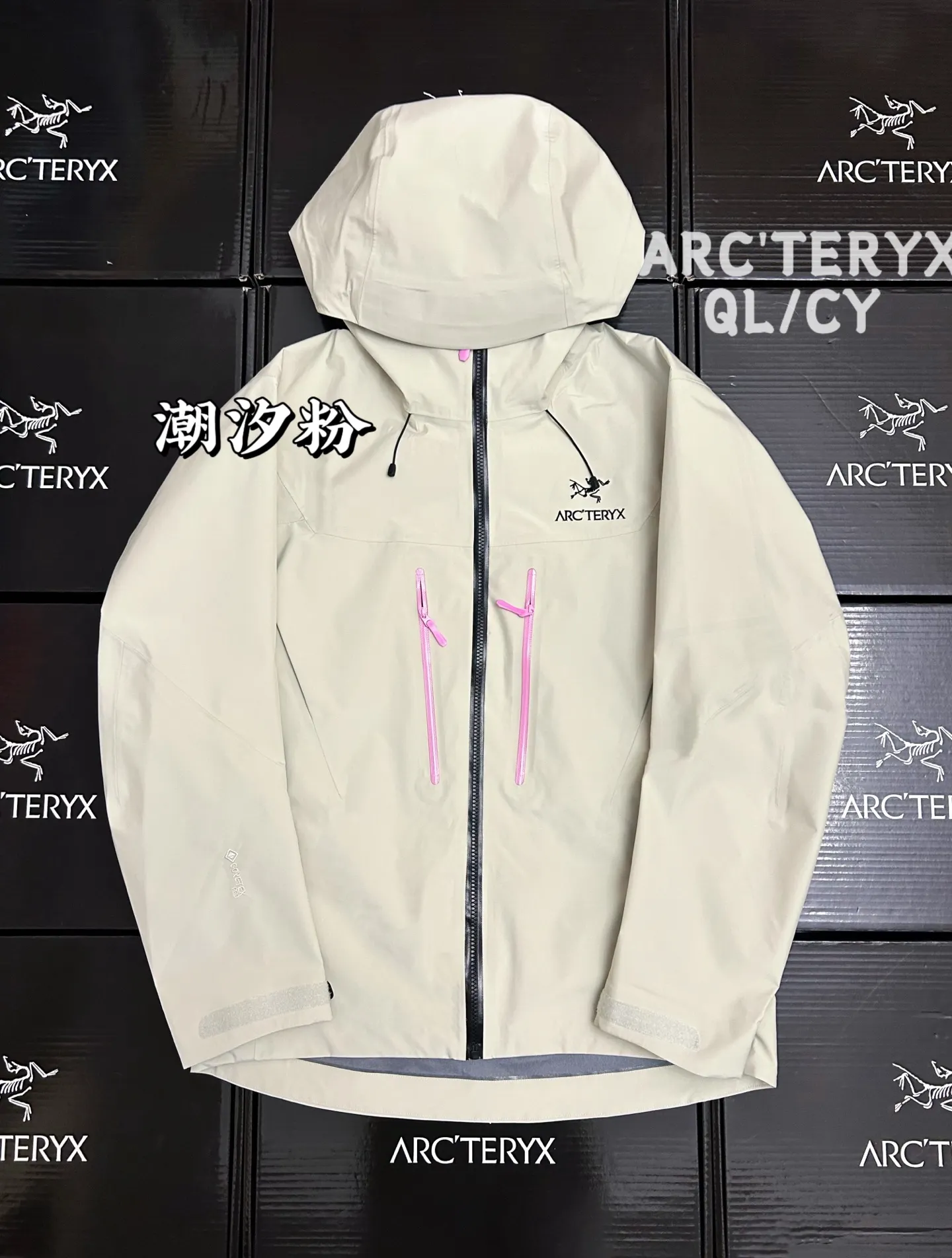 Alpha SV GORE-TEX Hooded Shell Jacket D45020884