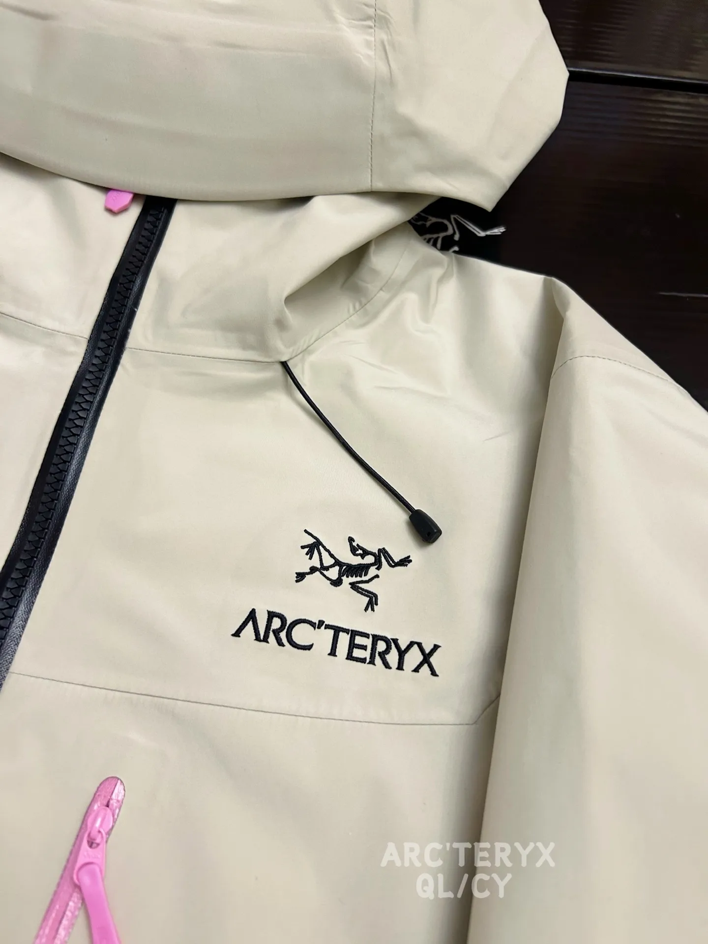 Alpha SV GORE-TEX Hooded Shell Jacket D45020884 — view 3
