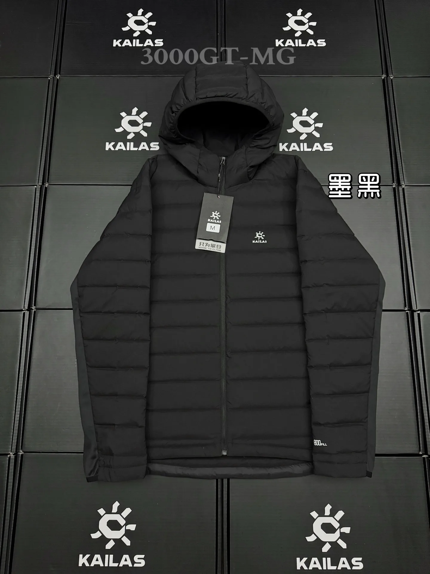 3000GT Lightweight Hooded Down Jacket D46020693