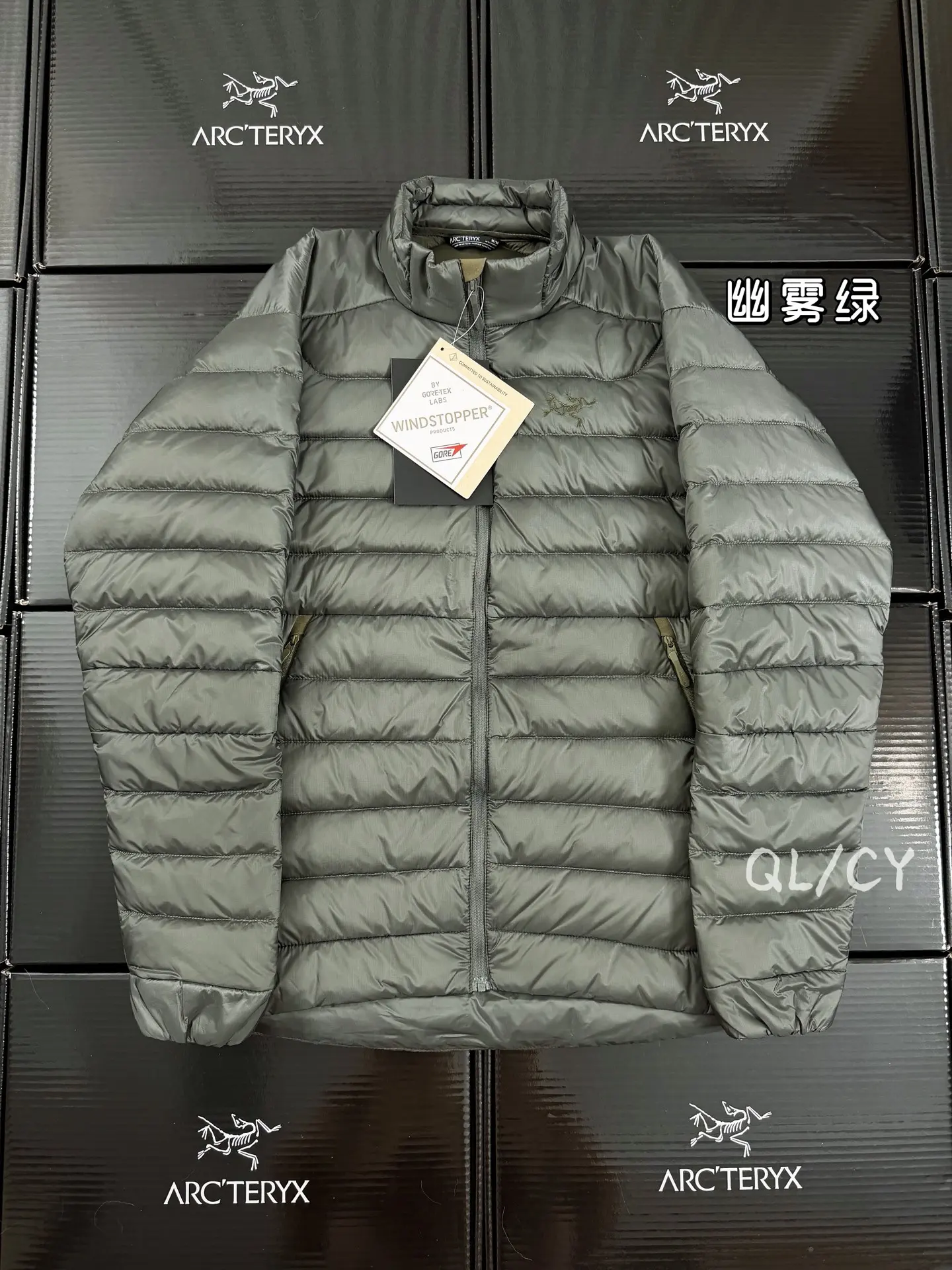 Arc'teryx Cerium Lightweight Down Jacket D46020967