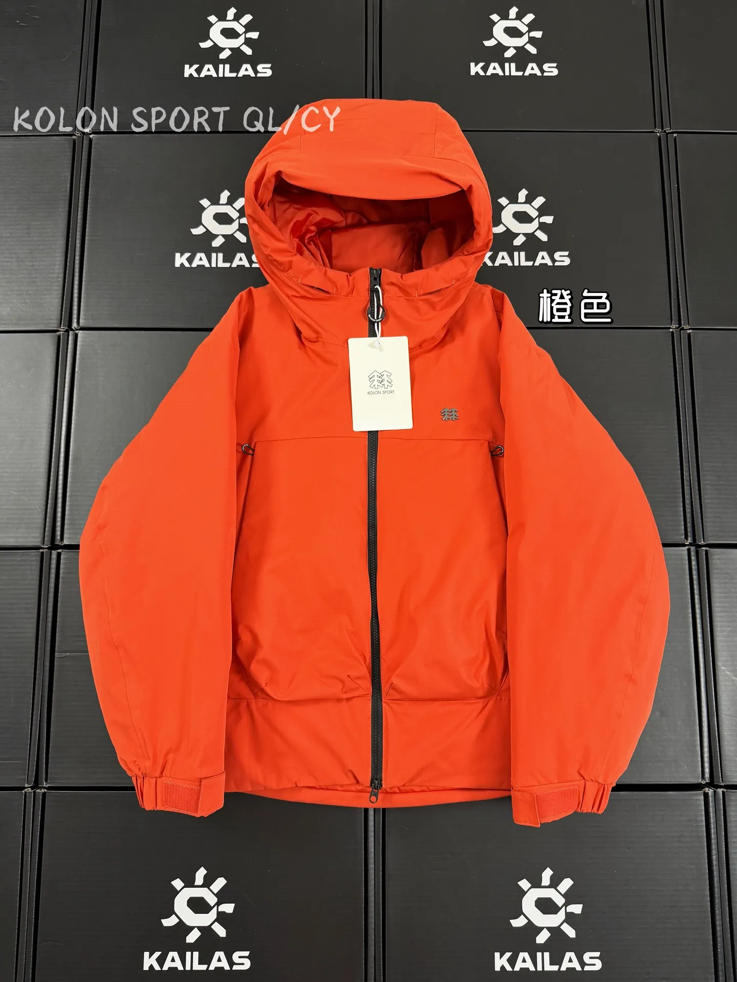 GORE-TEX 800-Fill Goose Down Hooded Jacket D51020915