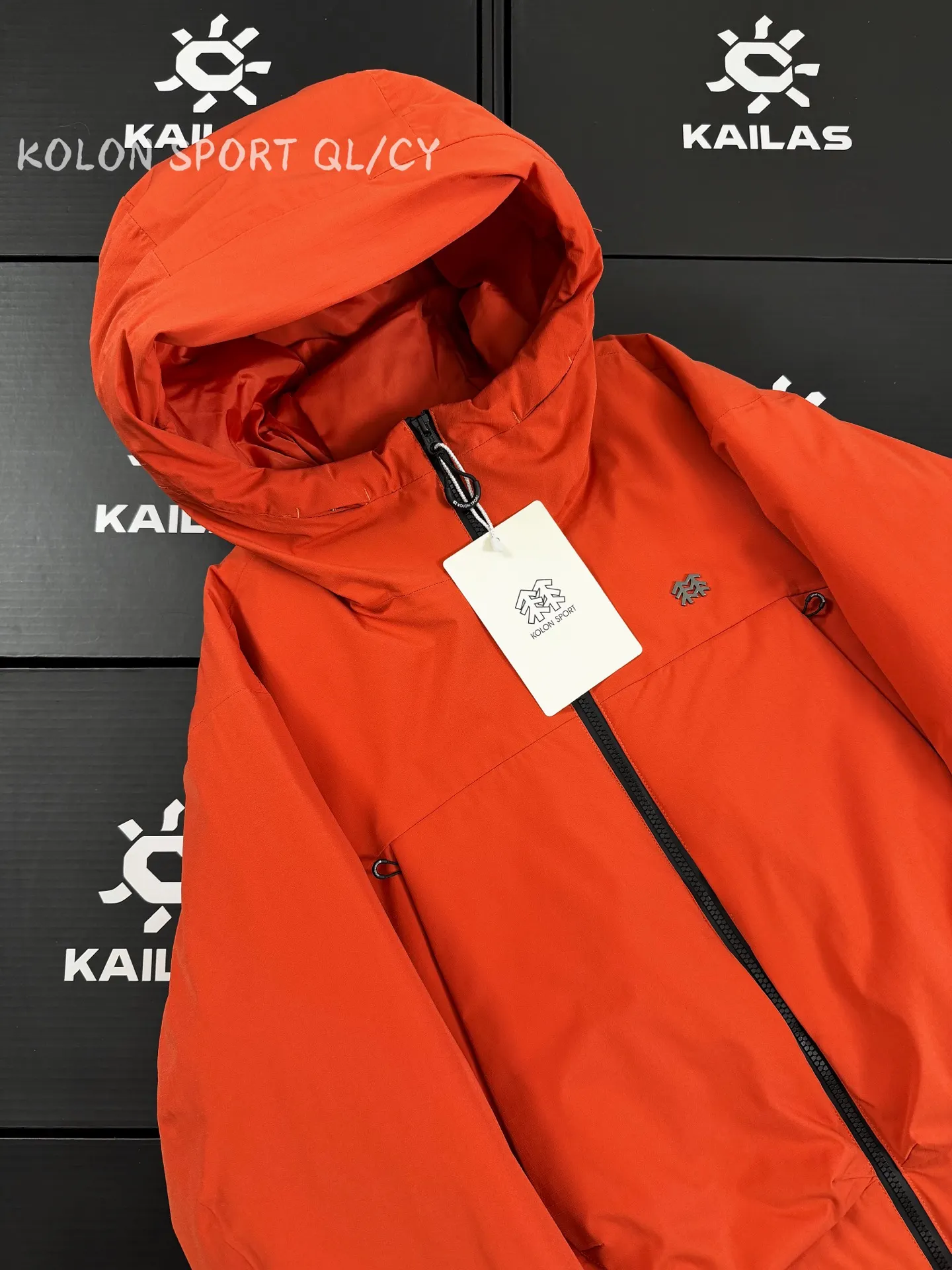 GORE-TEX 800-Fill Goose Down Hooded Jacket D51020915 — view 3