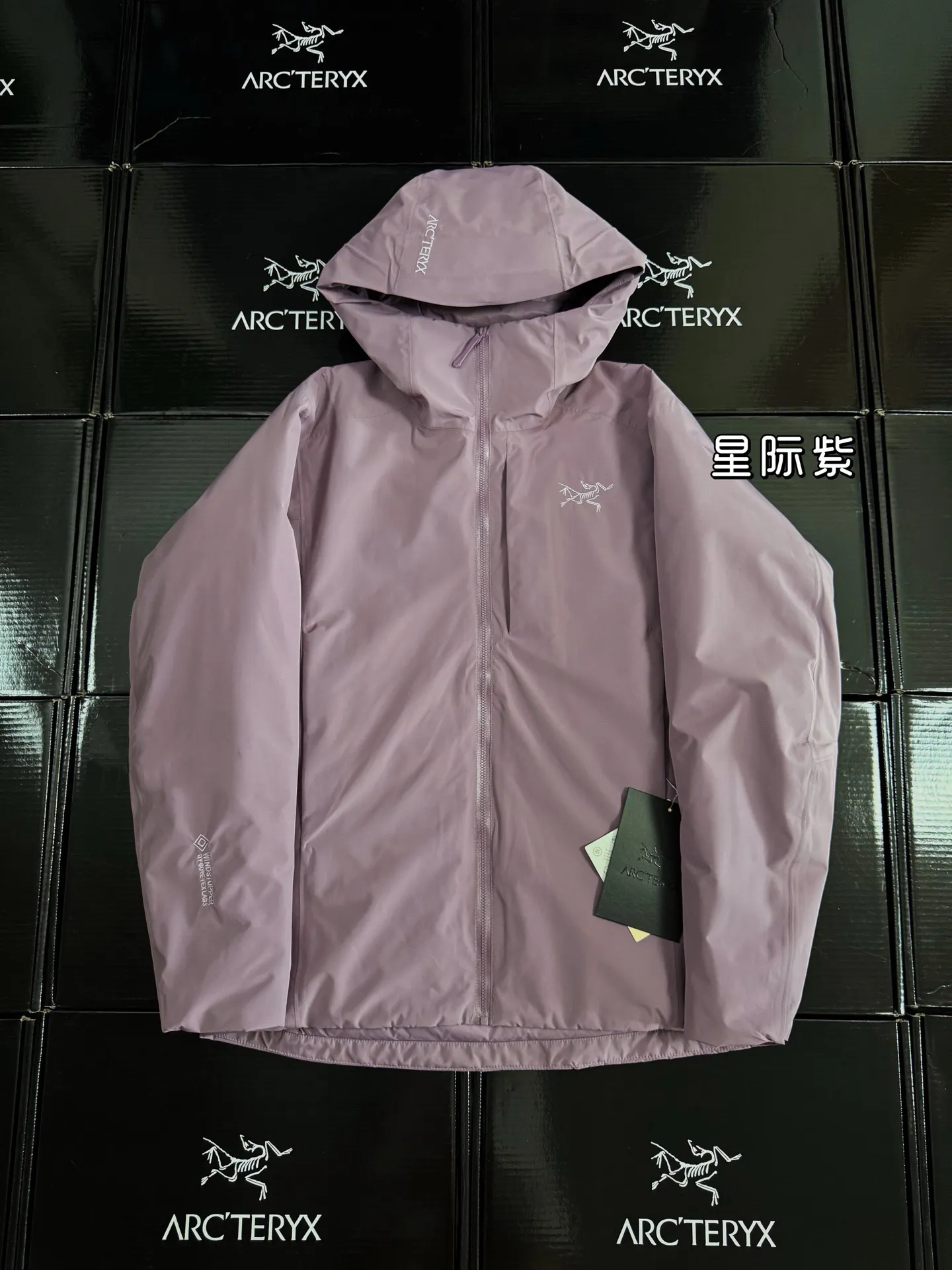 Solano GORE-TEX Down-Filled Hooded Jacket D52020885