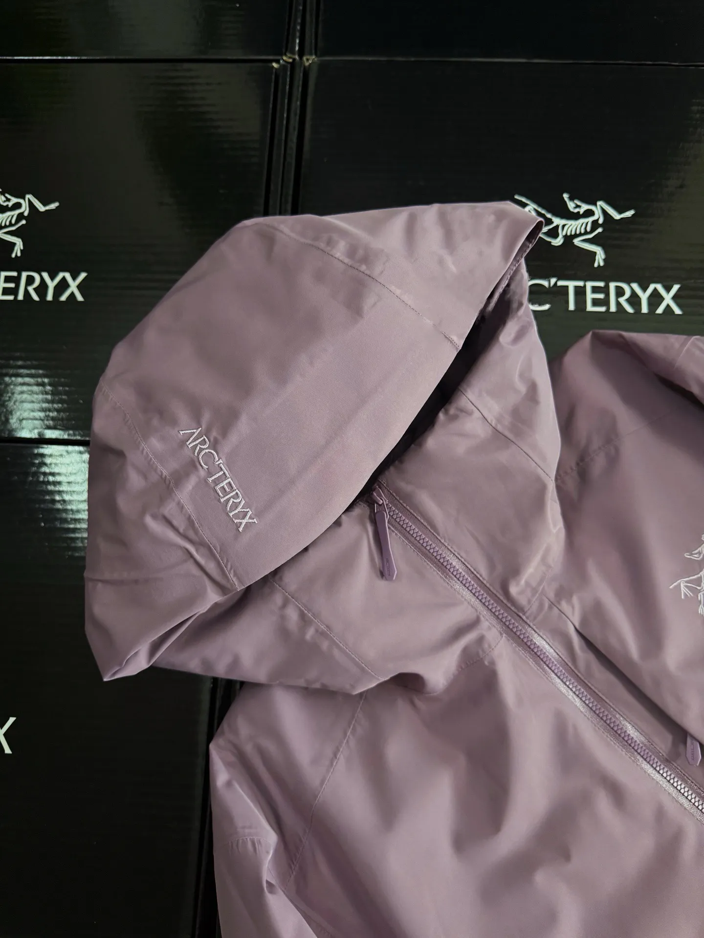 Solano GORE-TEX Down-Filled Hooded Jacket D52020885 — view 4