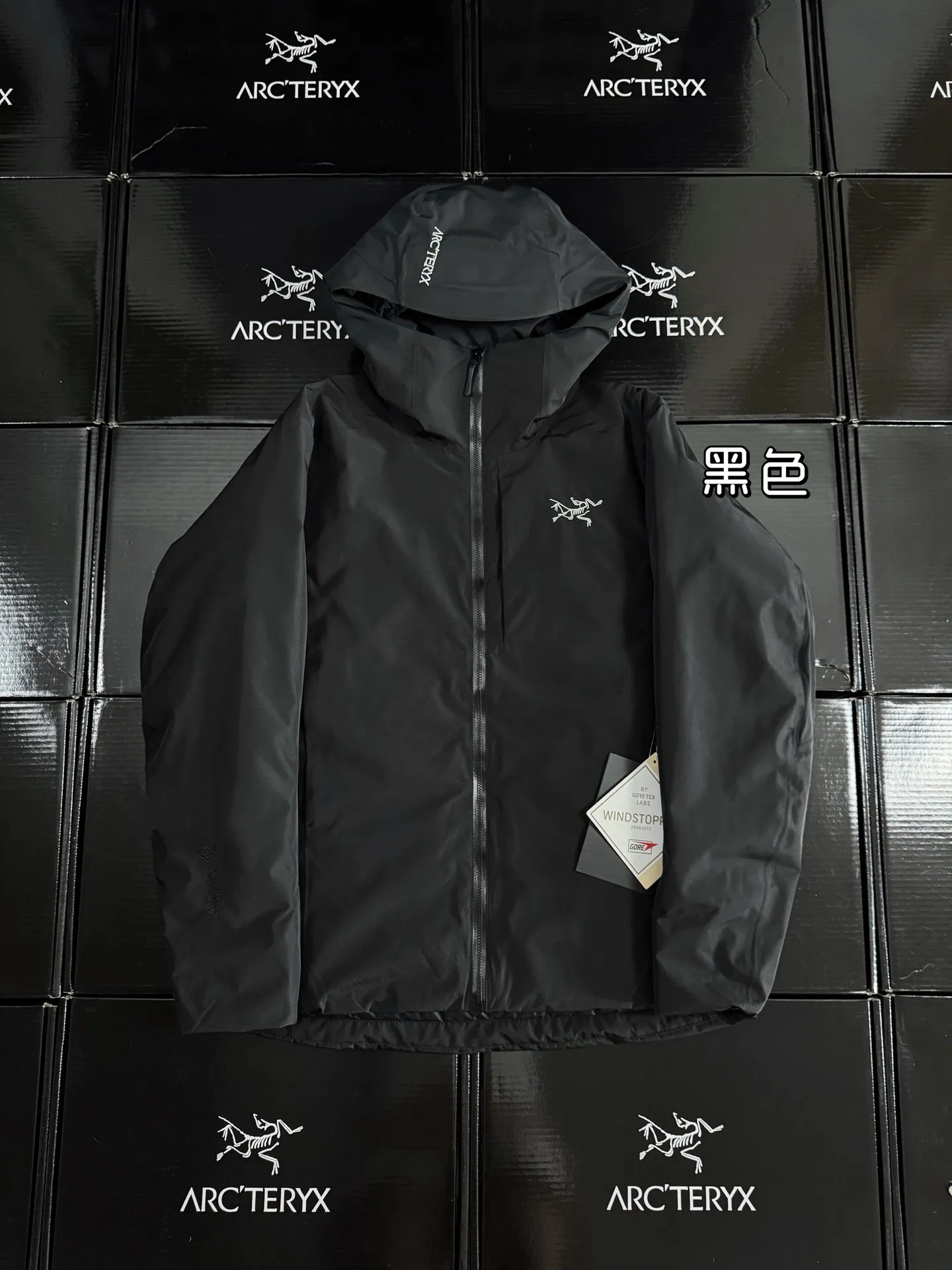 Solano GORE-TEX Down-Filled Hooded Jacket D52020888