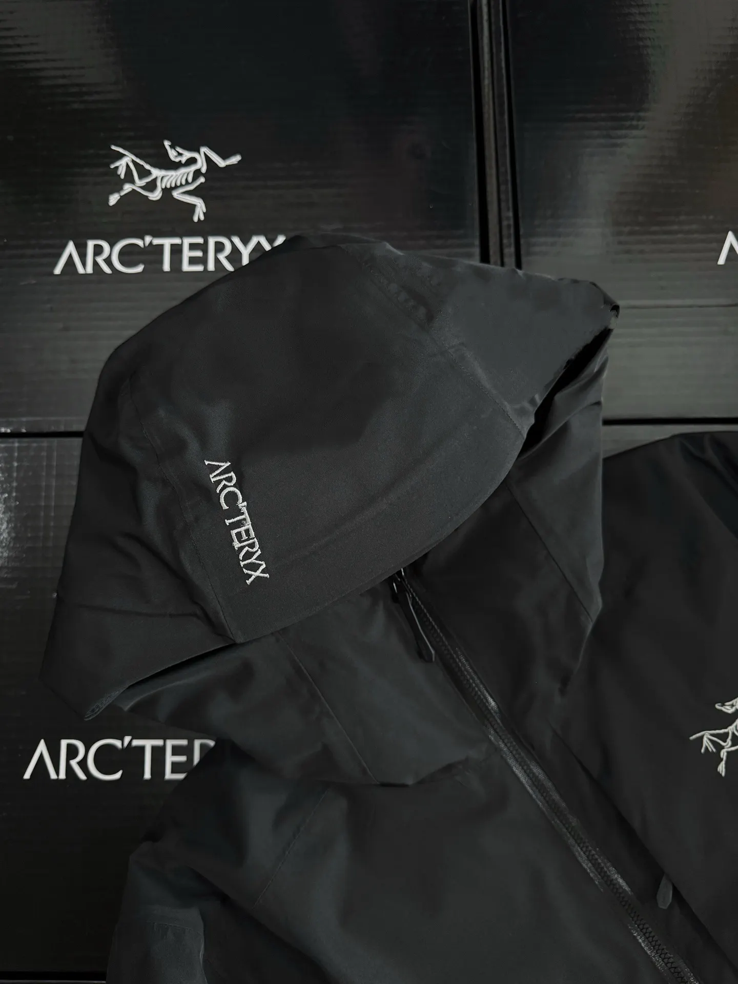 Solano GORE-TEX Down-Filled Hooded Jacket D52020888 — view 3