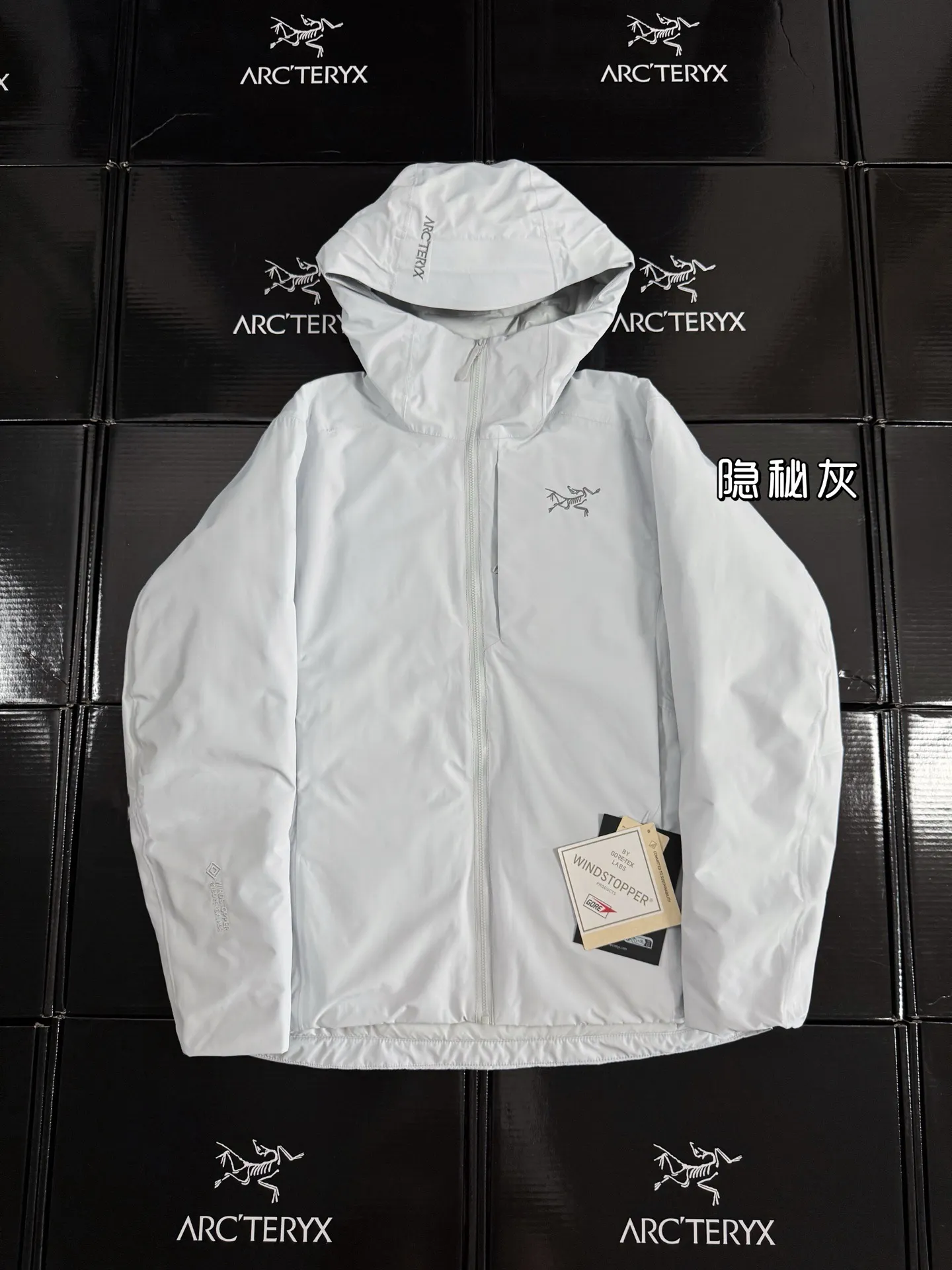 Solano GORE-TEX Down-Filled Hooded Jacket D52020887