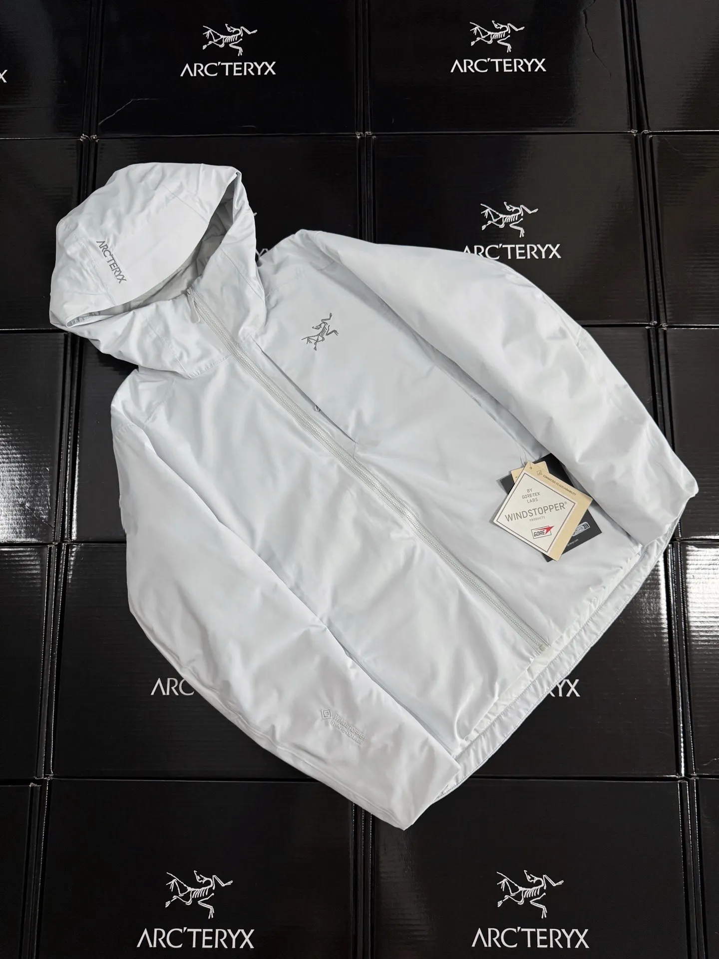 Solano GORE-TEX Down-Filled Hooded Jacket D52020887 — view 2