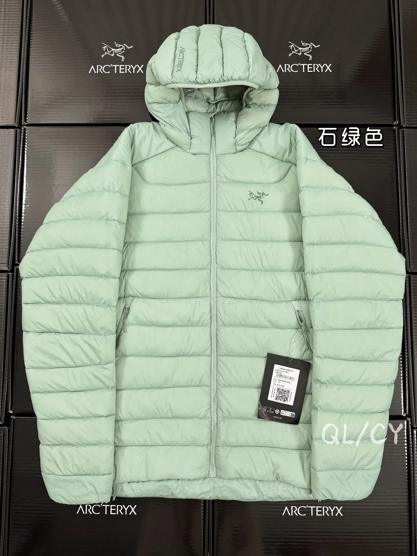 Cerium Hooded Down Puffer Jacket D52020955