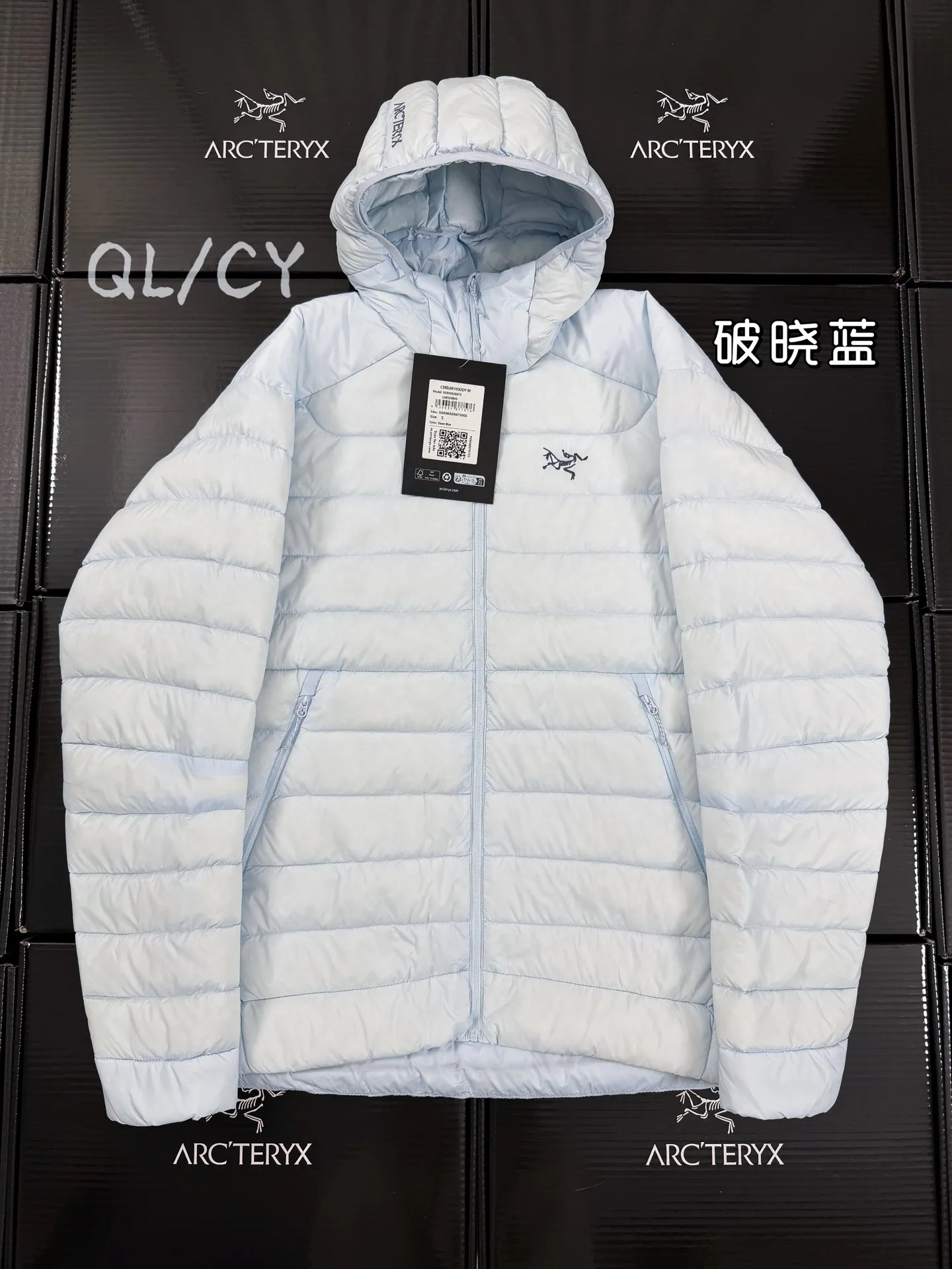 Cerium Hooded Down Puffer Jacket D52020954