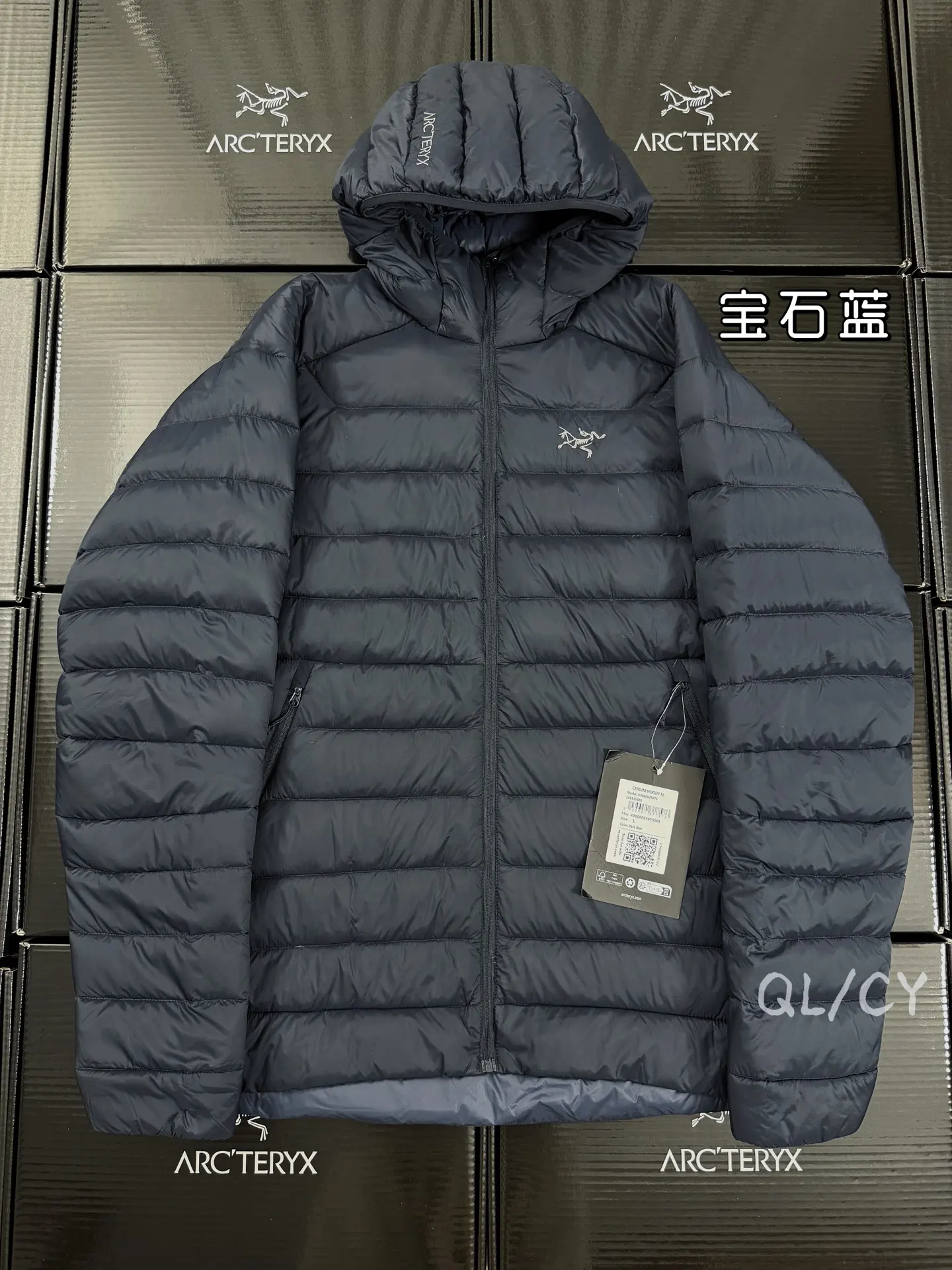 Cerium Hooded Down Puffer Jacket D52020957