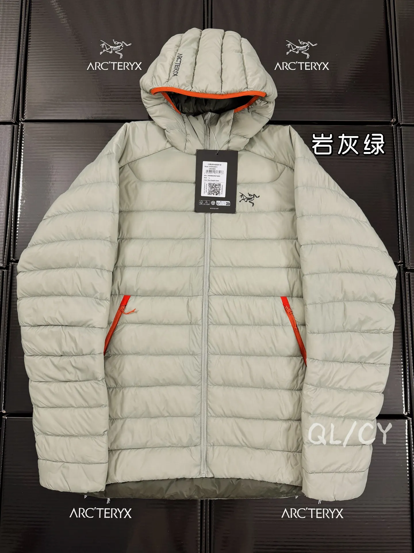 Cerium Hooded Down Puffer Jacket D52020956