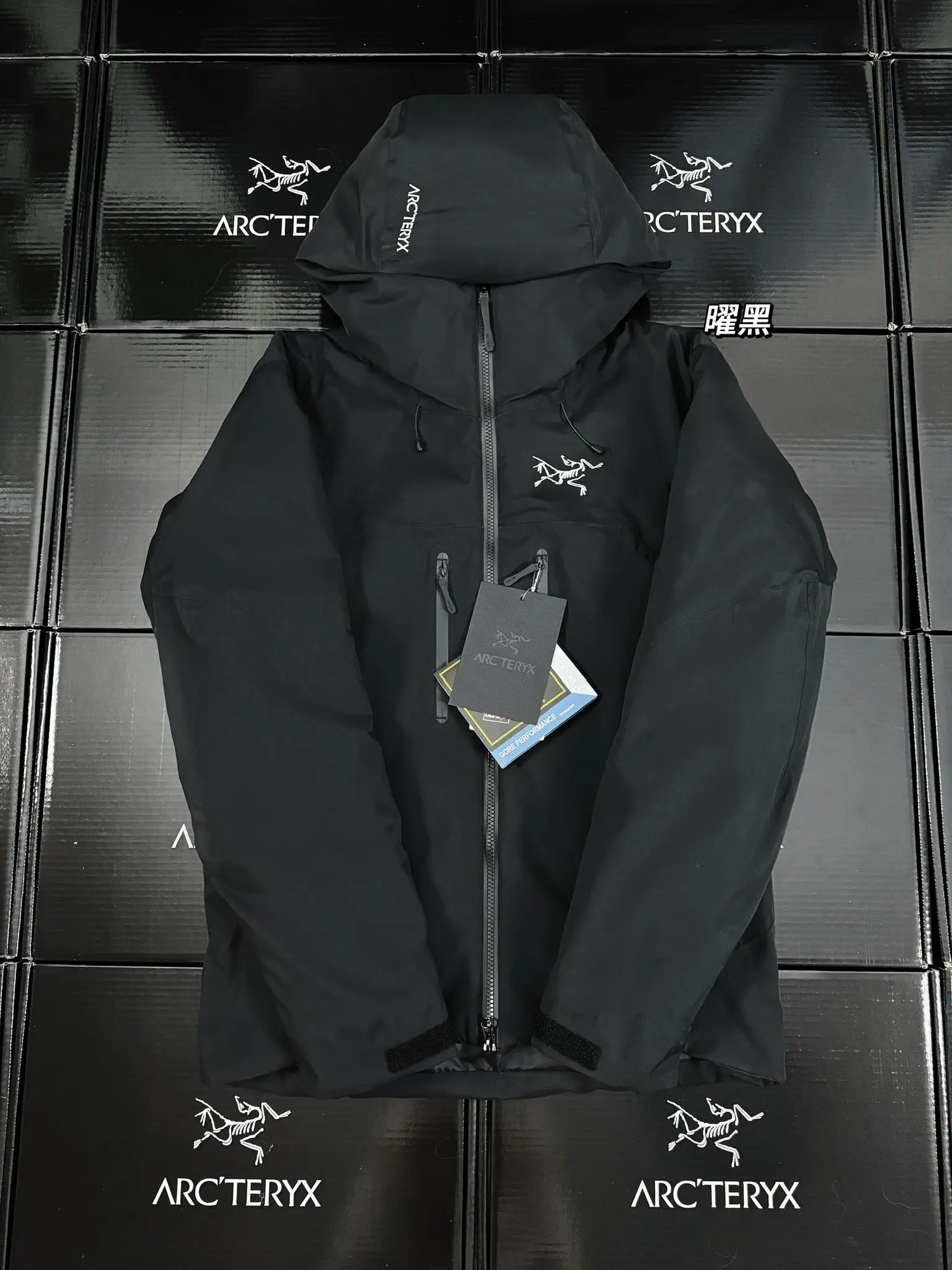 Beta Down Insulated GORE-TEX Jacket D52020575