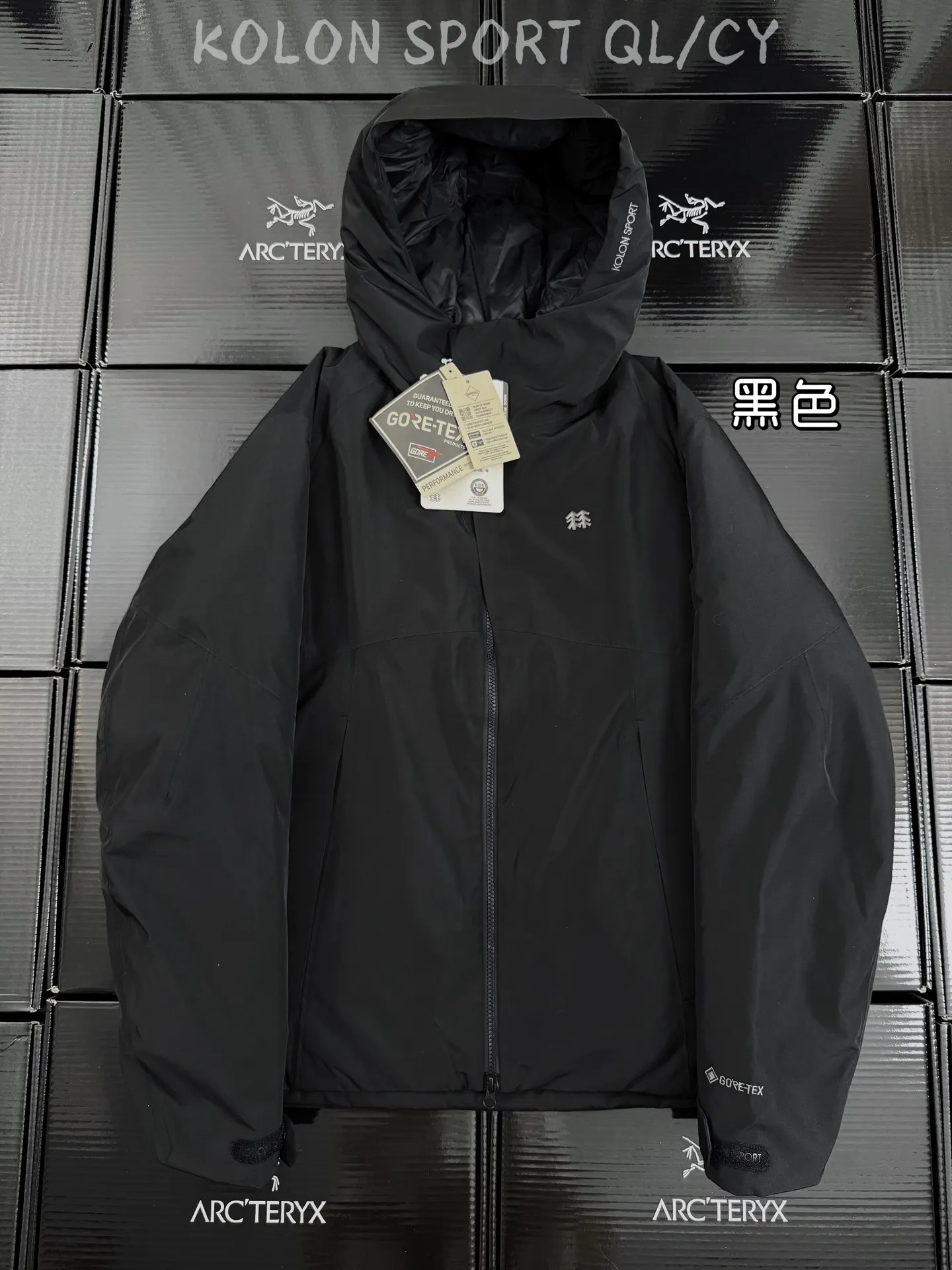 GORE-TEX 800-Fill Goose Down Hardshell Puffer Jacket D58020963