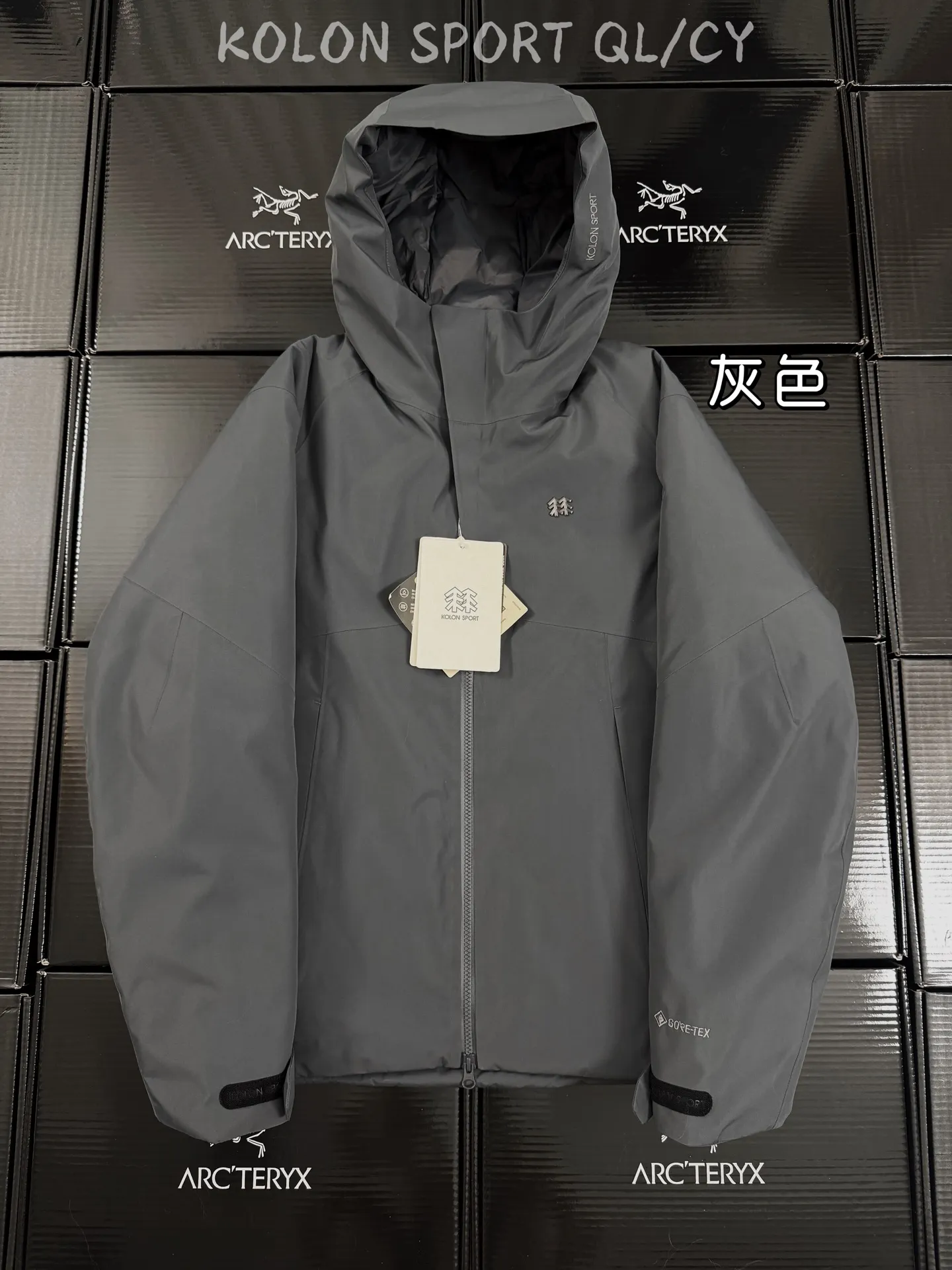 GORE-TEX 800-Fill Goose Down Hardshell Puffer Jacket D58020964