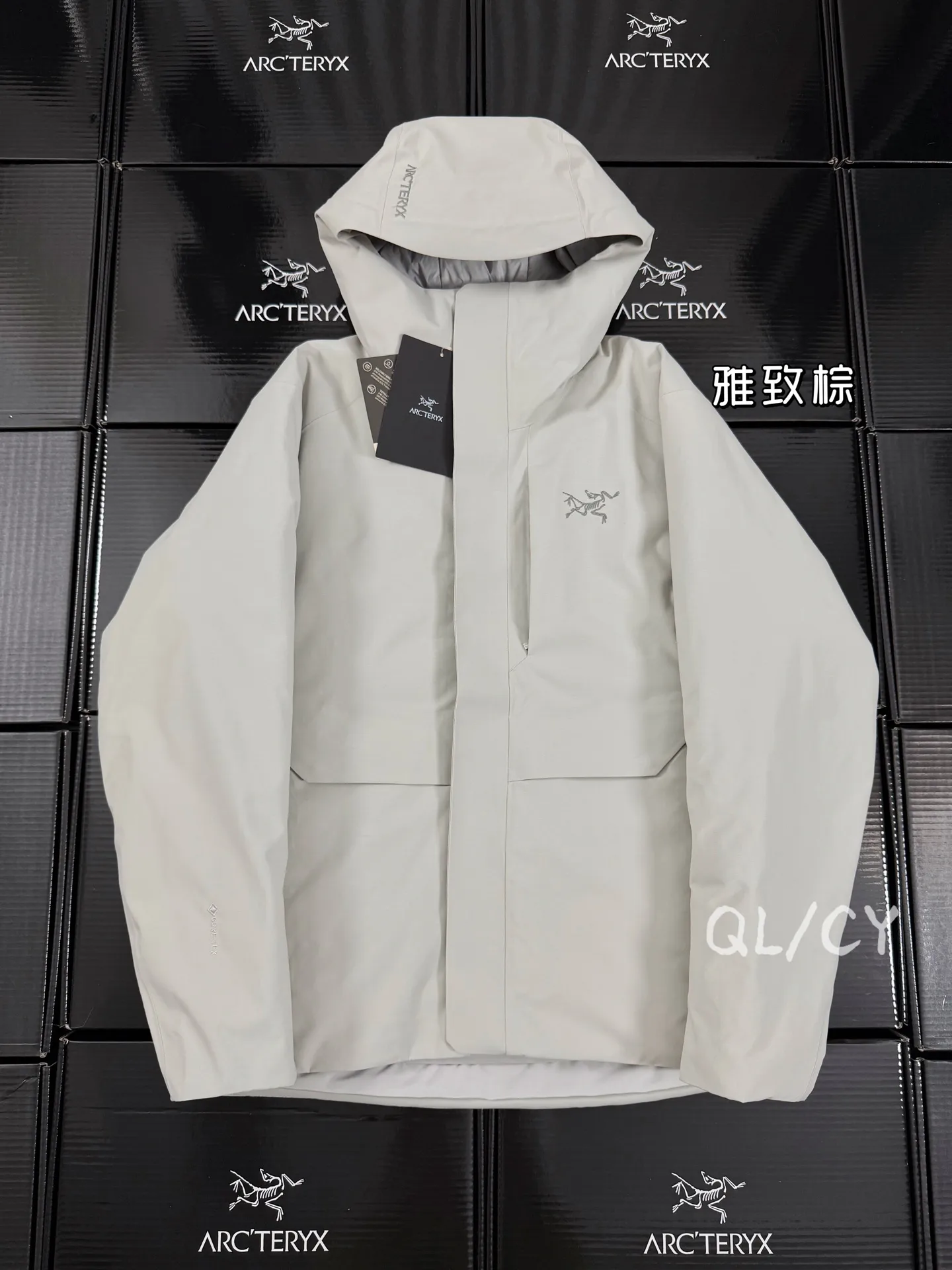Therme GORE-TEX Down-Filled Hooded Jacket D58020969