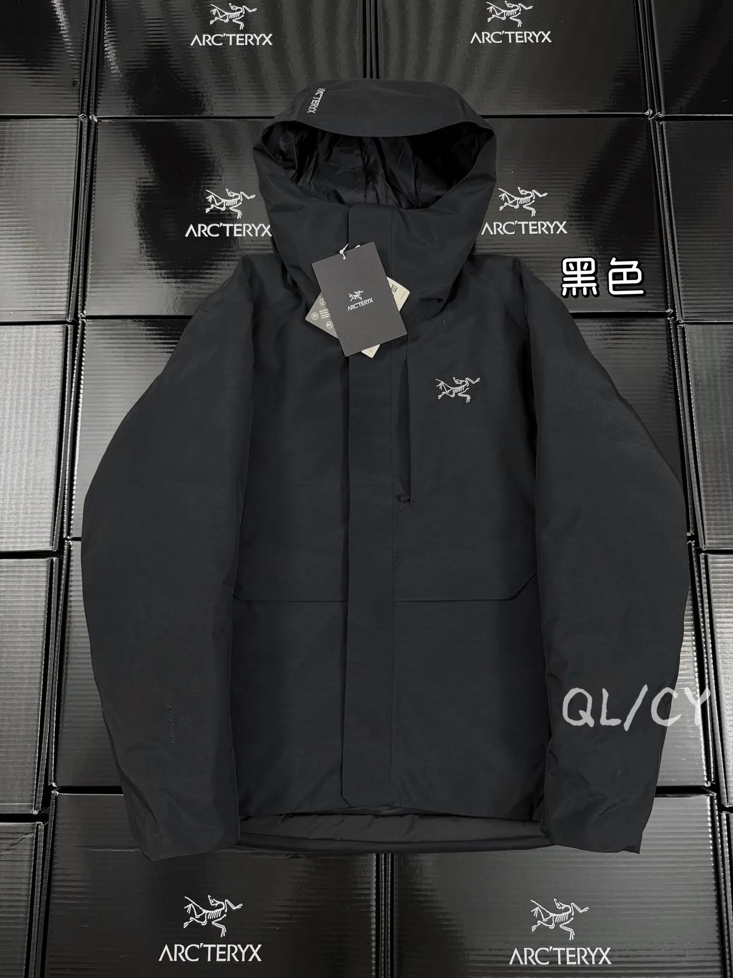 Therme GORE-TEX Down-Filled Hooded Jacket D58020970