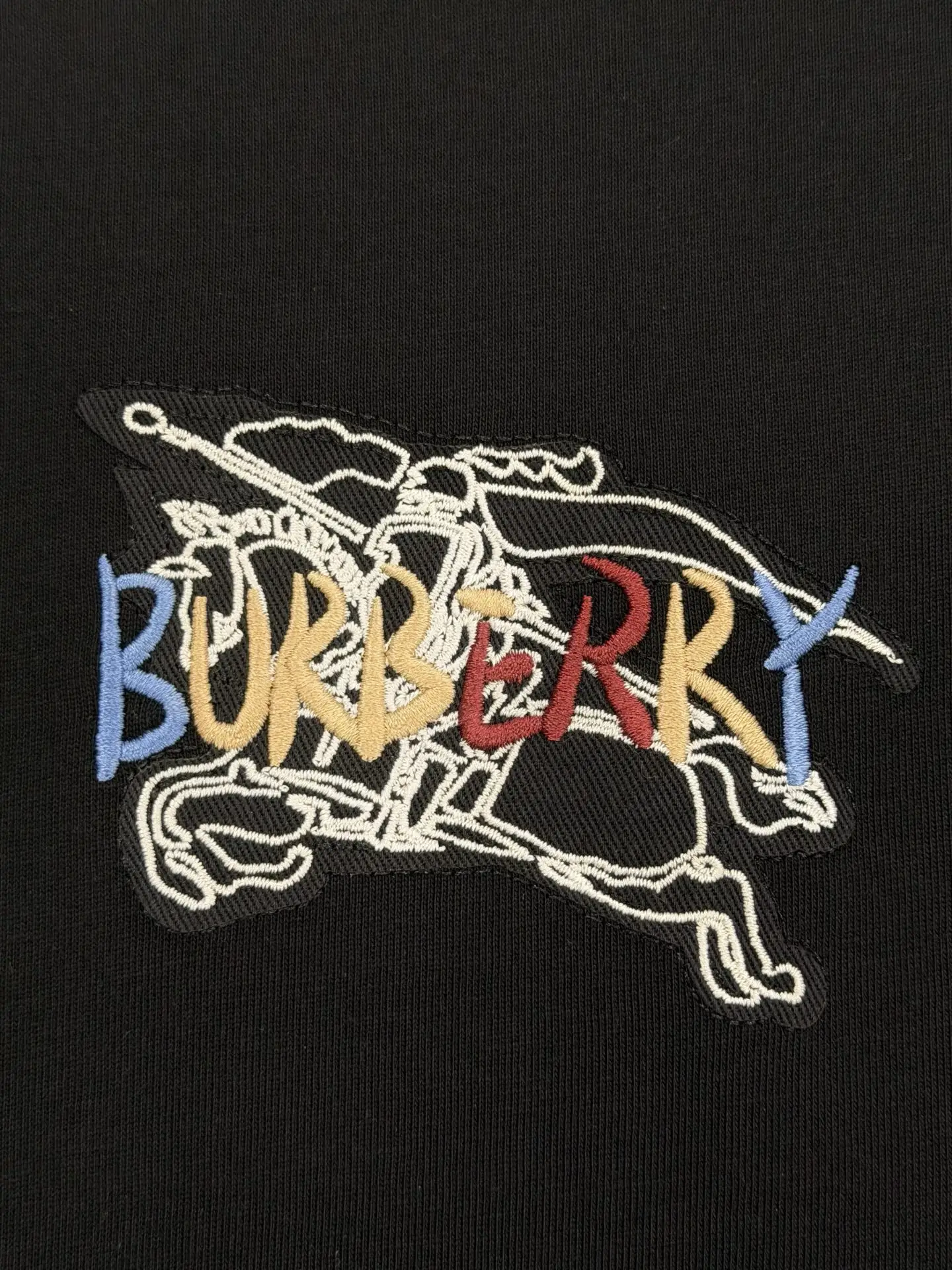 Embroidered Rainbow Equestrian Knight T-Shirt D13513785 — view 4