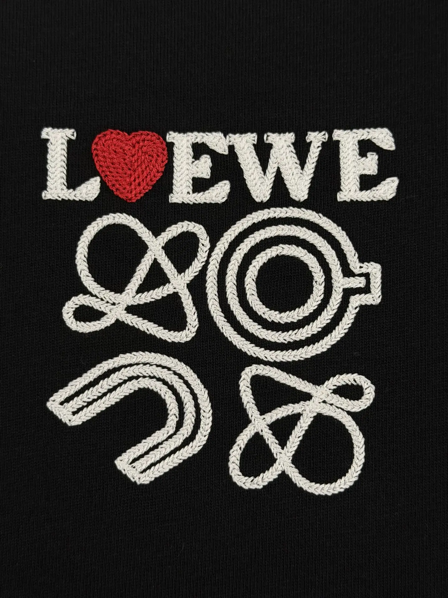Logo Embroidery Heavyweight Cotton T-Shirt D13513787 — view 5