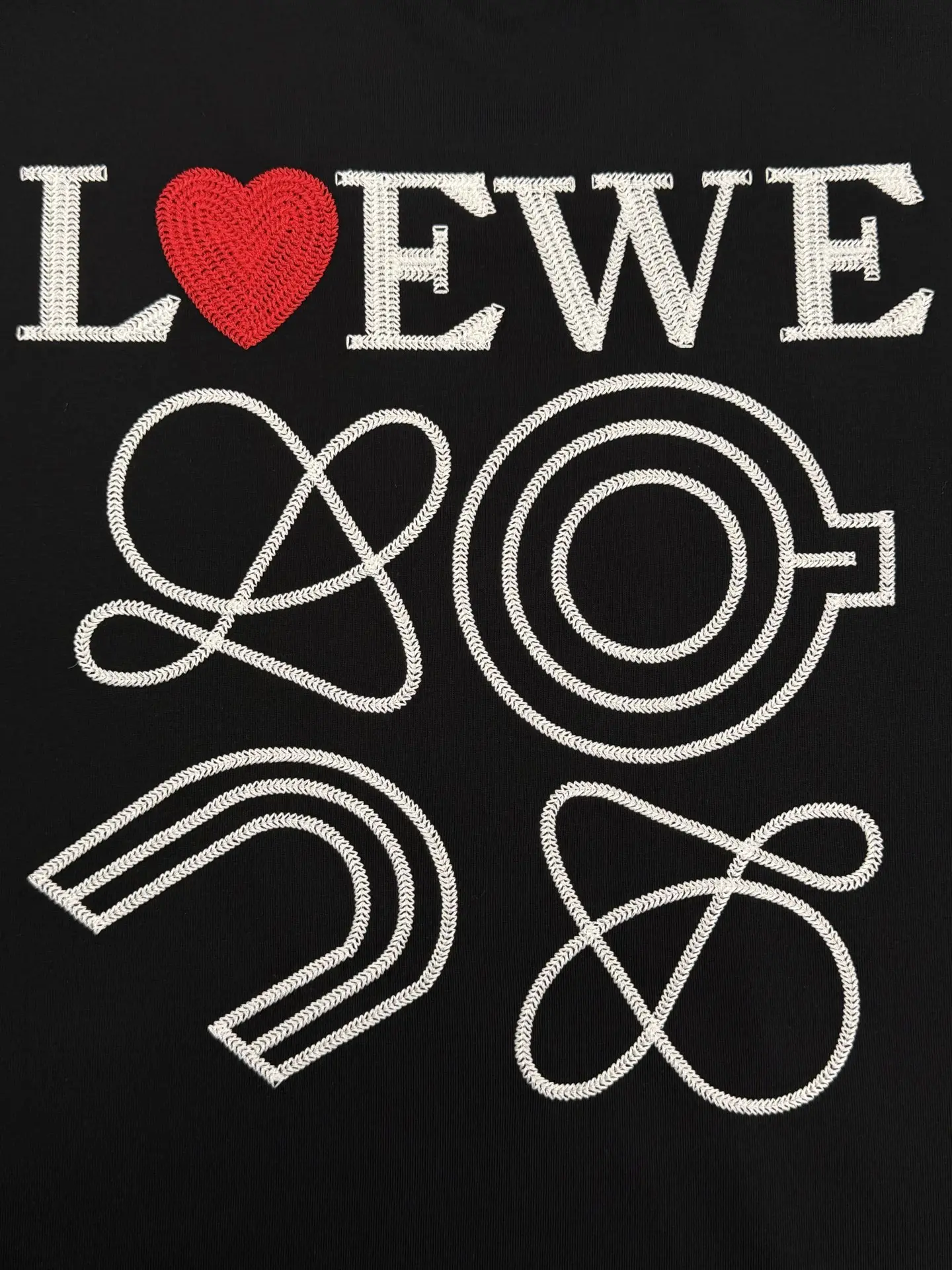 Logo Embroidery Heavyweight Cotton T-Shirt D13513787 — view 8