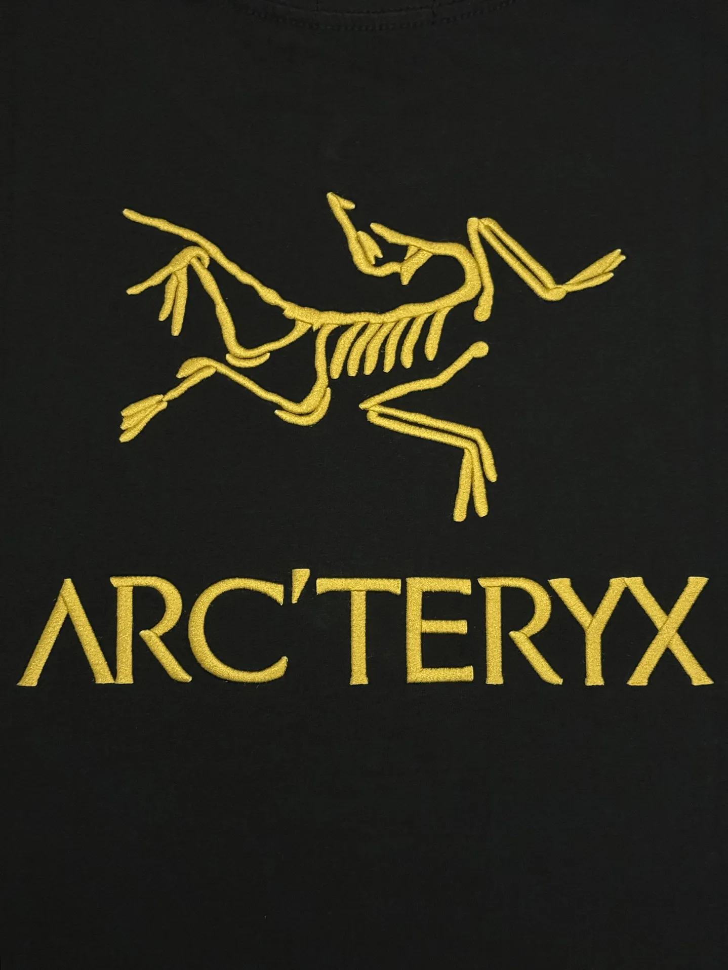Embroidered Logo Cotton T-Shirt D13513749 — view 6