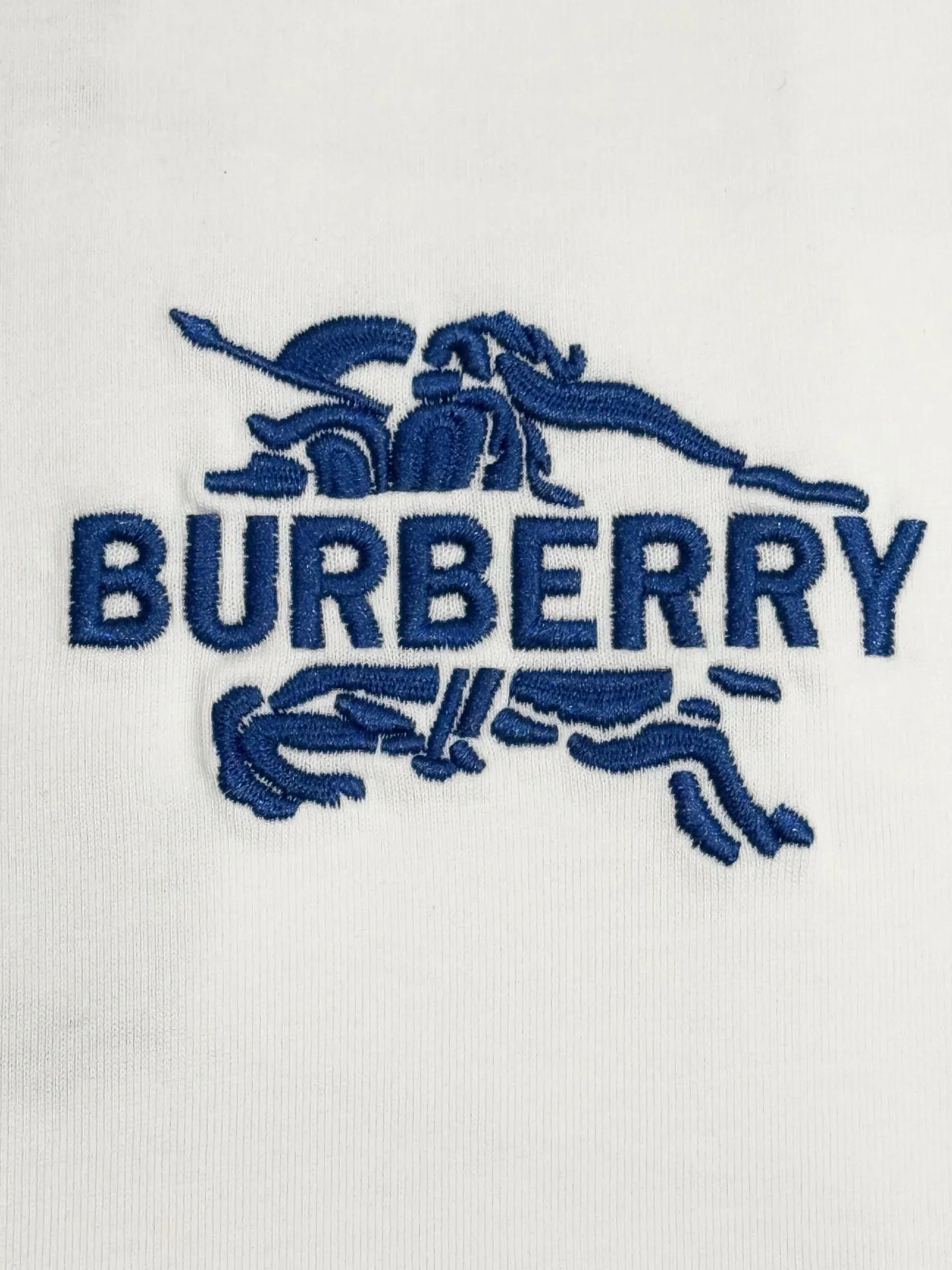 EKD Embroidered Cotton T-Shirt D13513505 — view 4