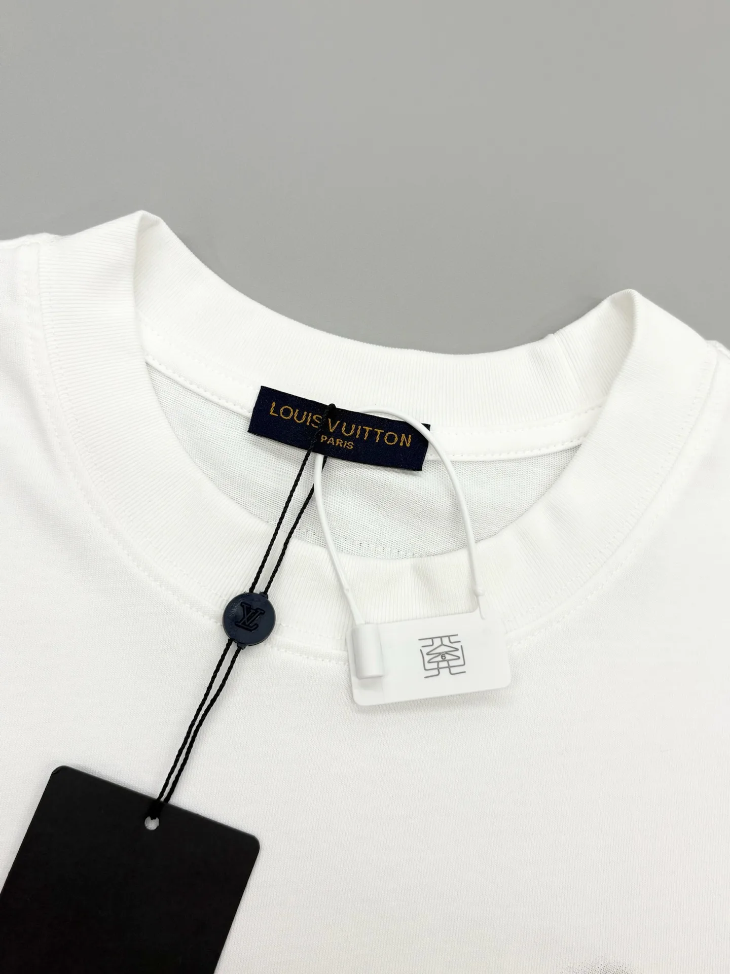 Embroidered Logo Oversized Cotton T-Shirt D13513768 — view 3