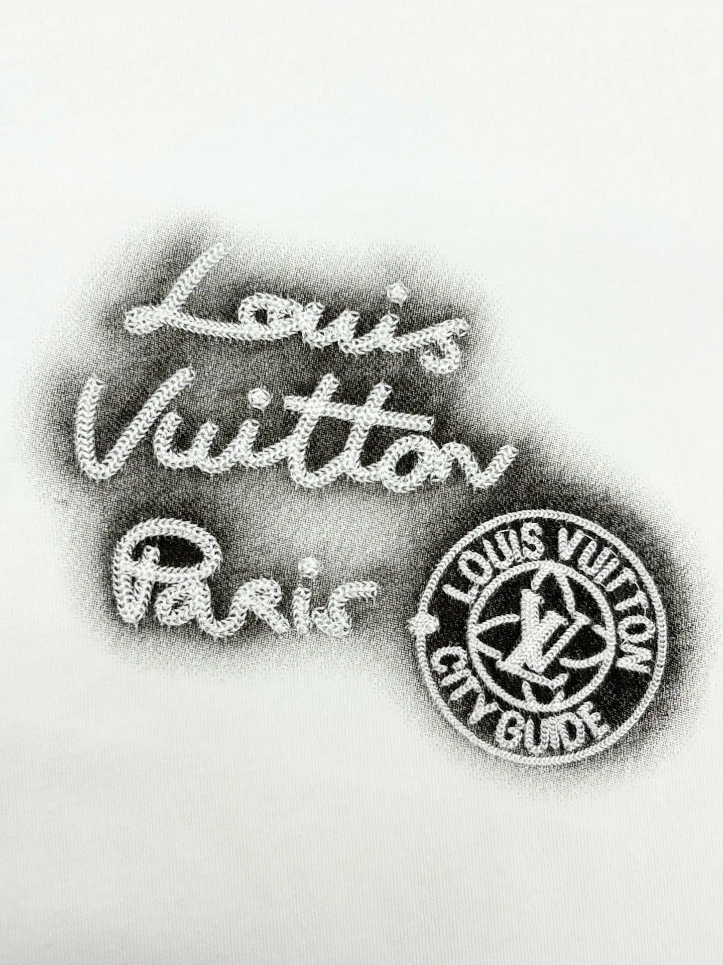 Embroidered Logo Oversized Cotton T-Shirt D13513768 — view 4