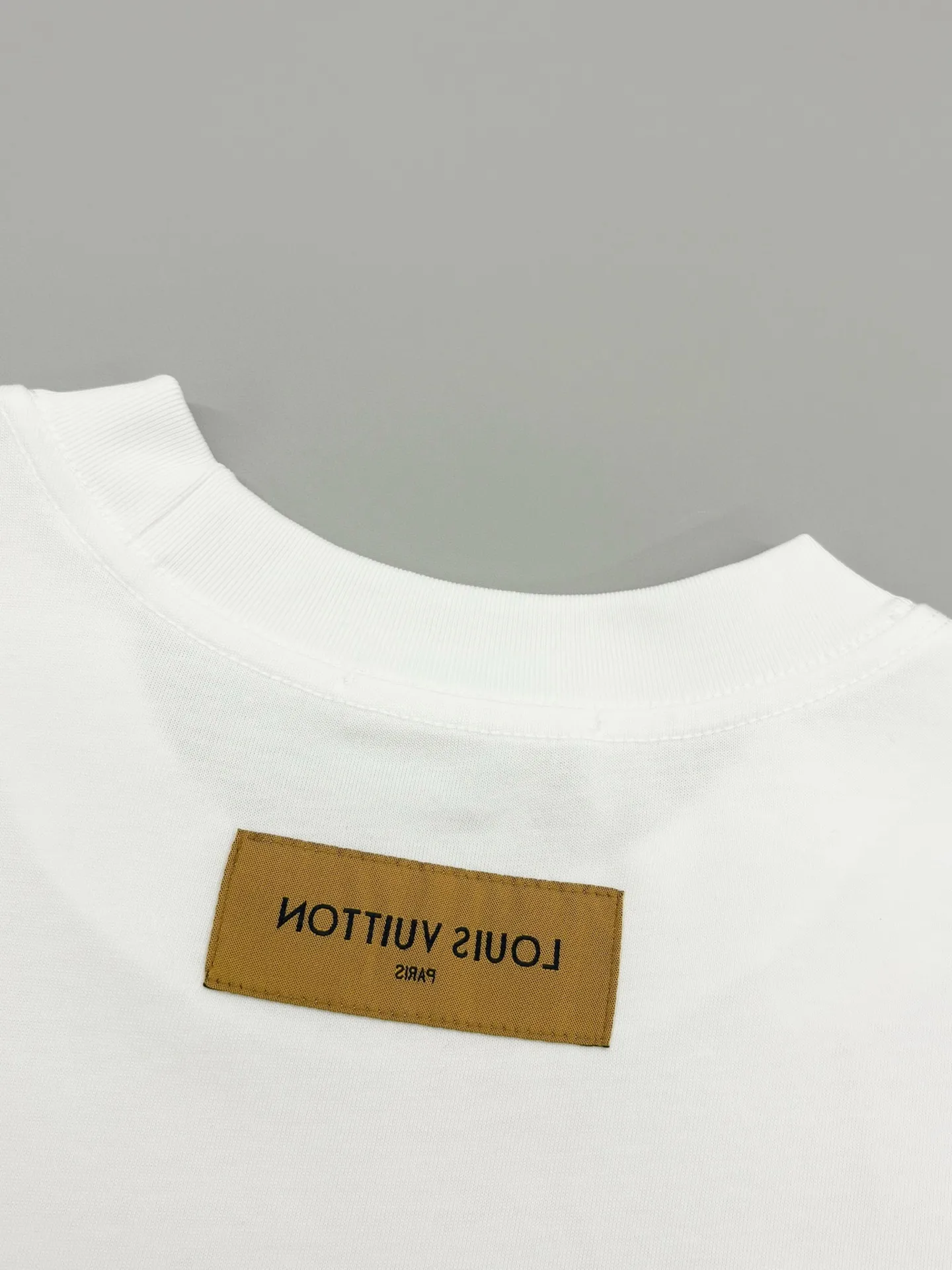 Embroidered Logo Oversized Cotton T-Shirt D13513768 — view 6
