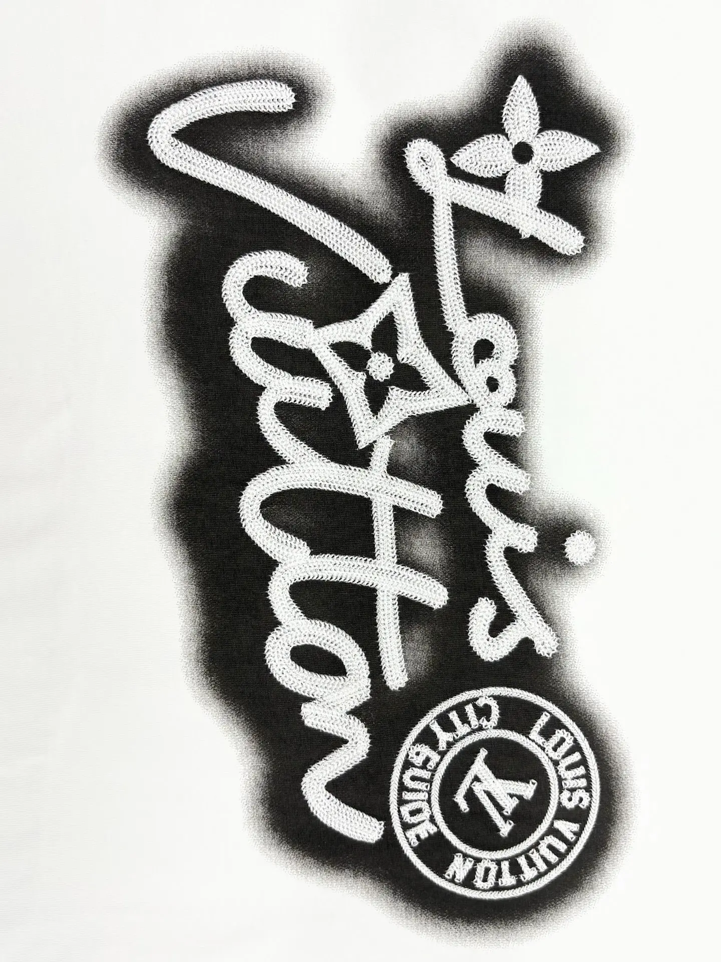 Embroidered Logo Oversized Cotton T-Shirt D13513768 — view 7
