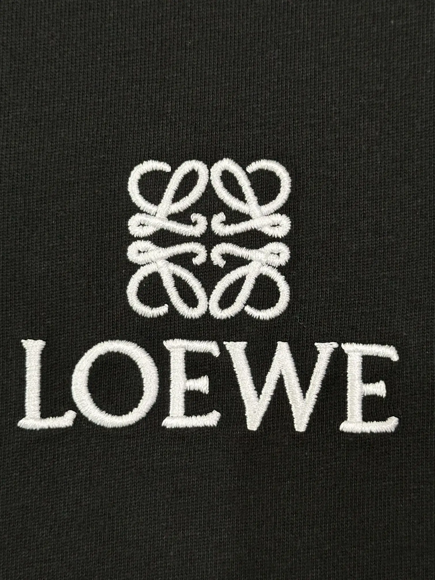 Anagram Embroidered Cotton T-Shirt D13513669 — view 4