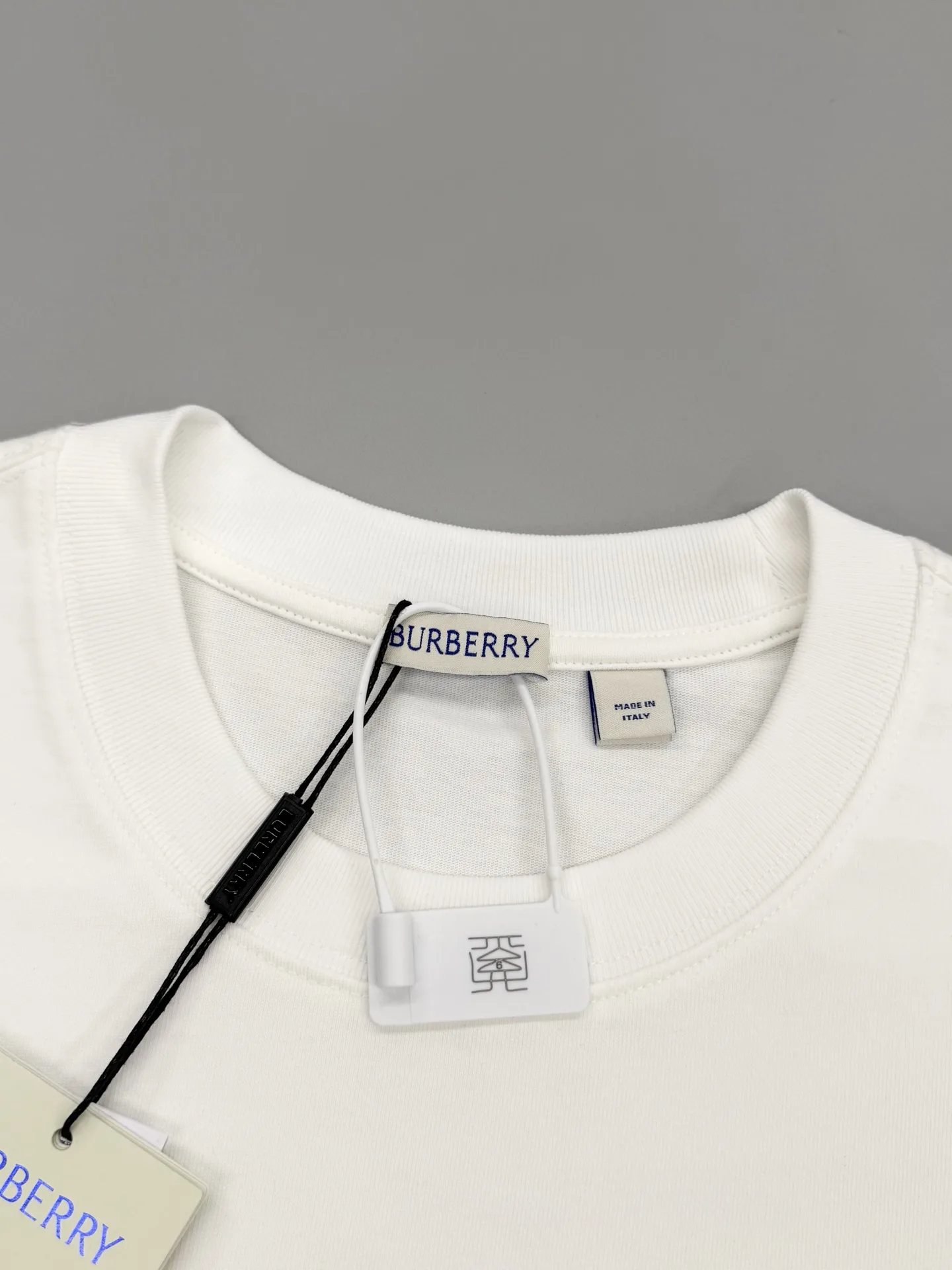 Embroidered Crest Cotton T-Shirt D14013479 — view 3