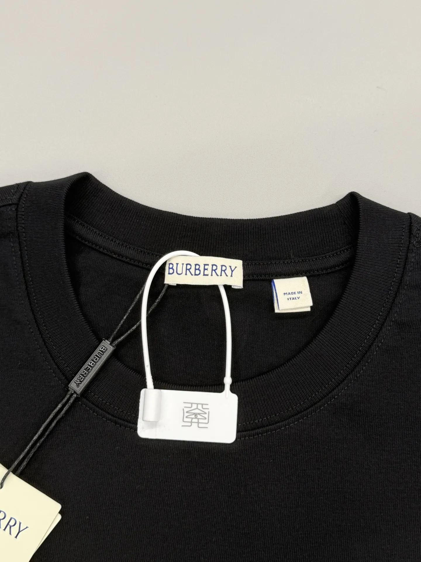 Embroidered Crest Cotton Jersey T-Shirt D14013480 — view 3