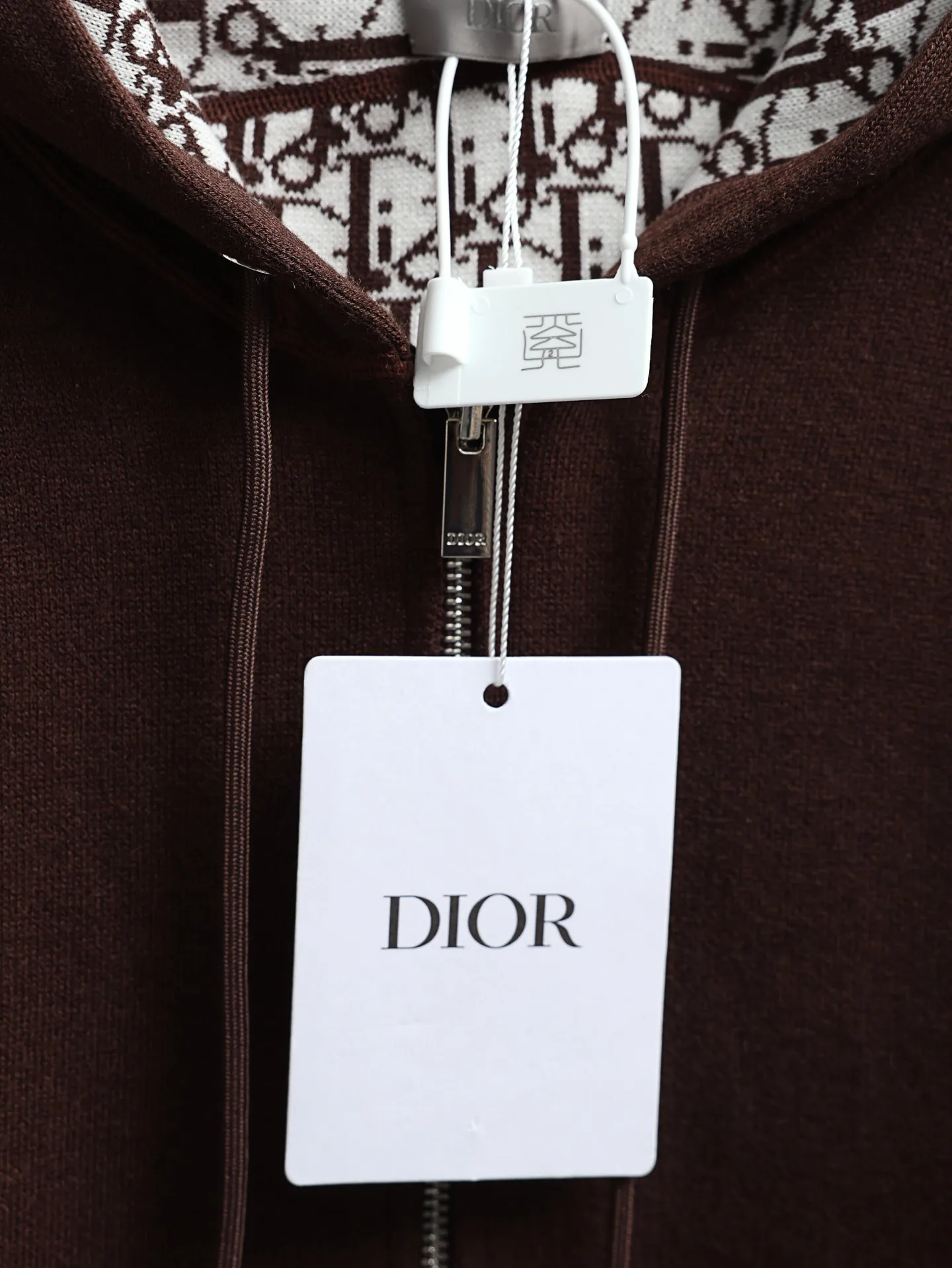 Oblique Lining Zip-Up Hooded Sweatshirt D34521900 — view 5