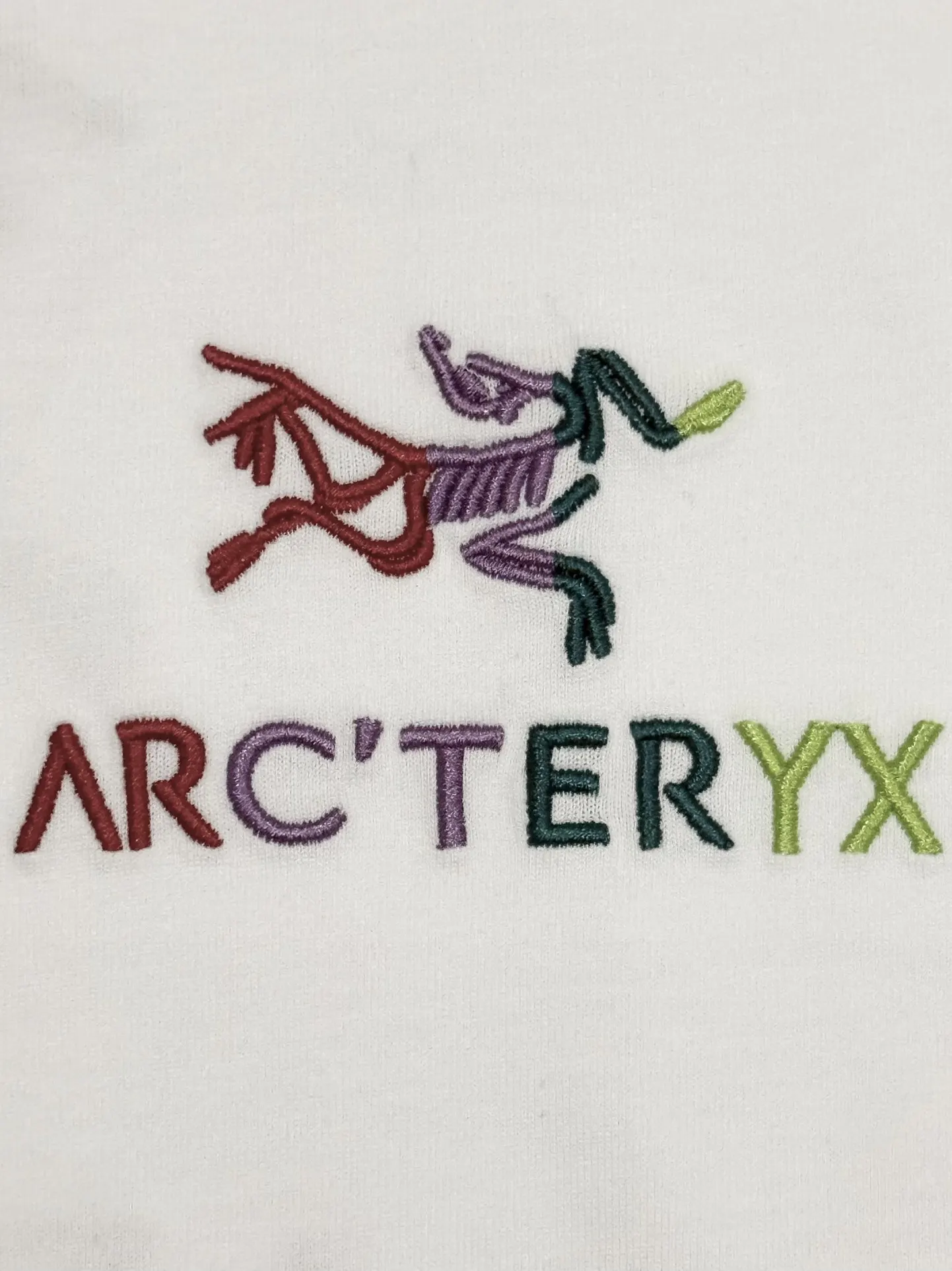 Embroidered Logo Cotton T-Shirt D13513676 — view 4