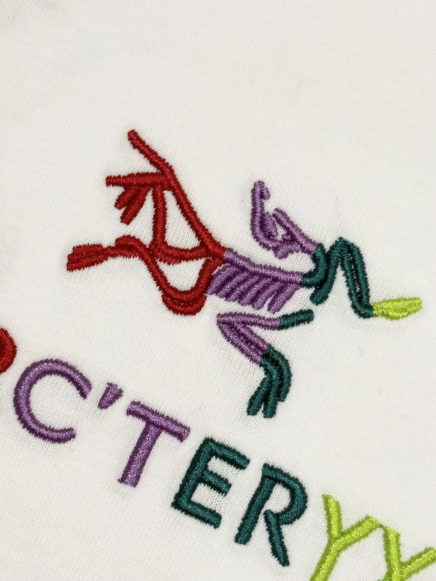 Embroidered Logo Cotton T-Shirt D13513676 — view 5