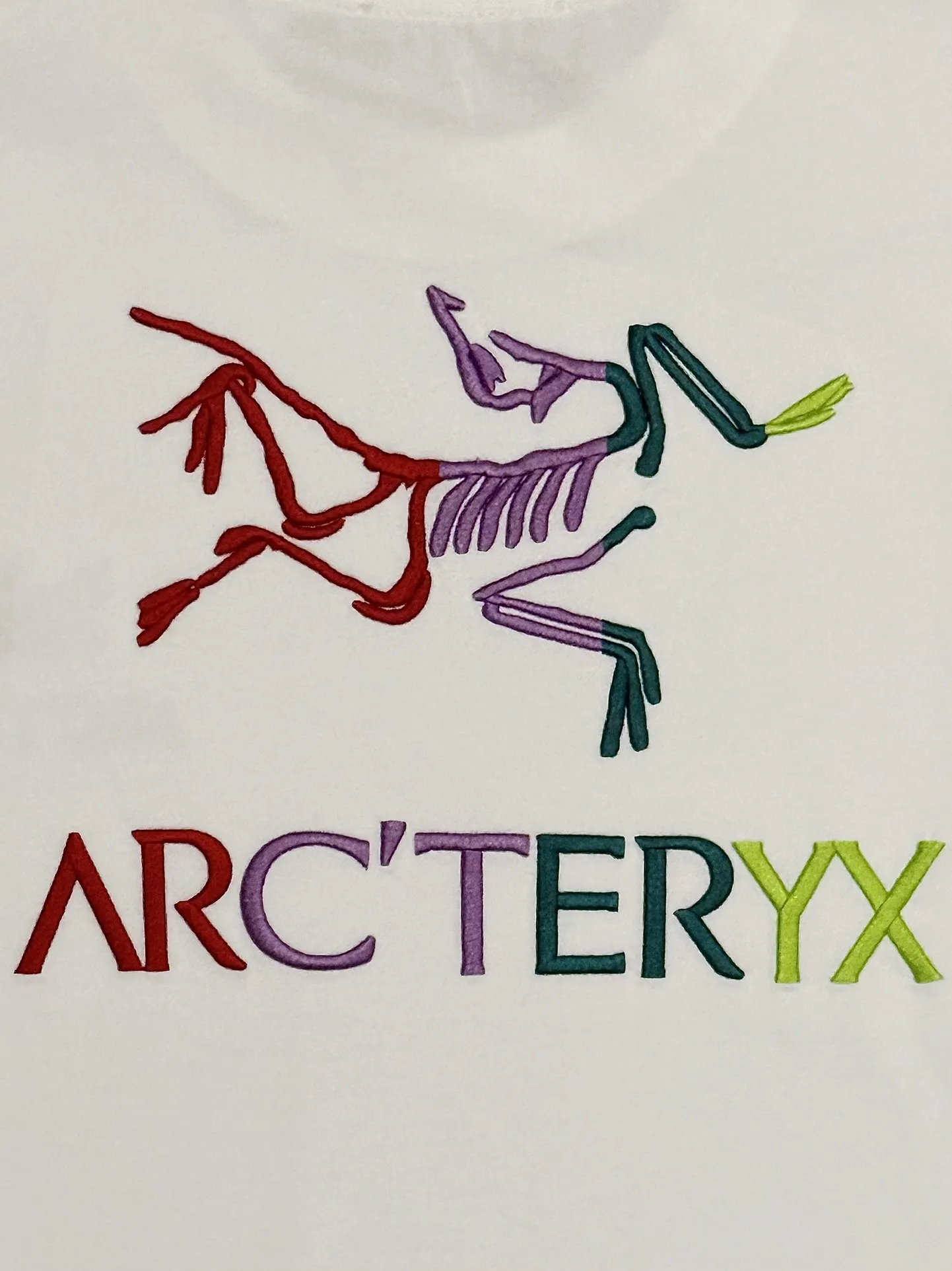 Embroidered Logo Cotton T-Shirt D13513676 — view 7