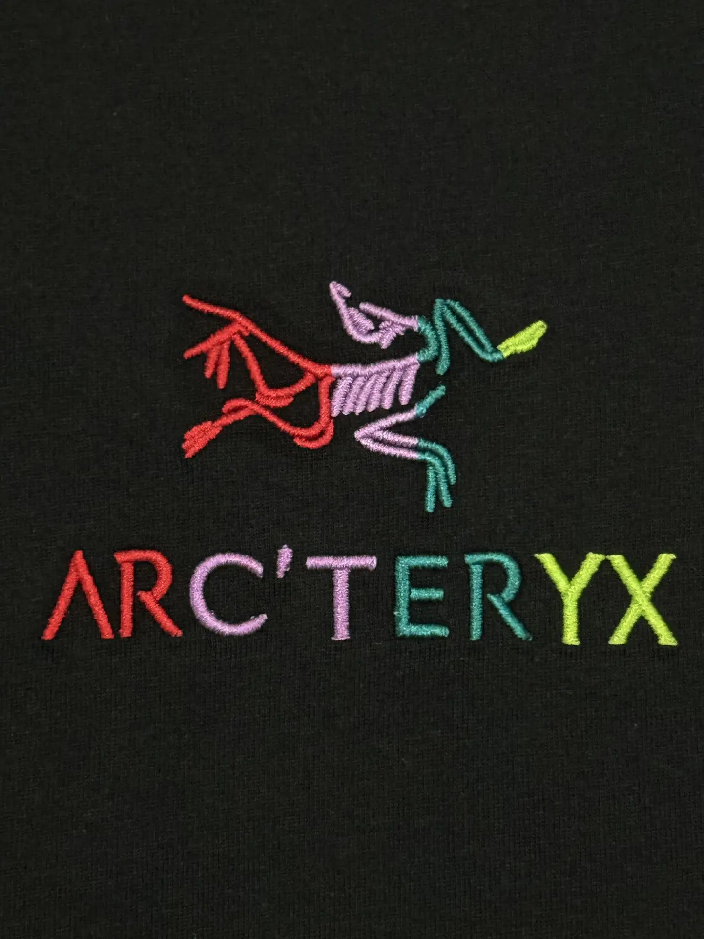 Embroidered Logo Cotton T-Shirt D13513677 — view 4