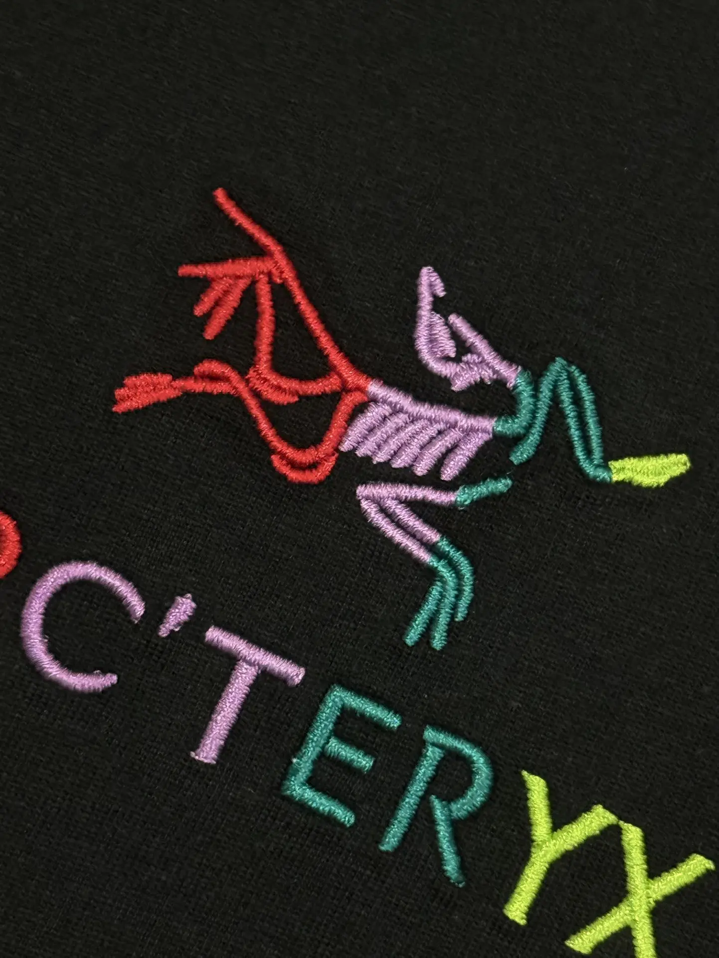 Embroidered Logo Cotton T-Shirt D13513677 — view 5