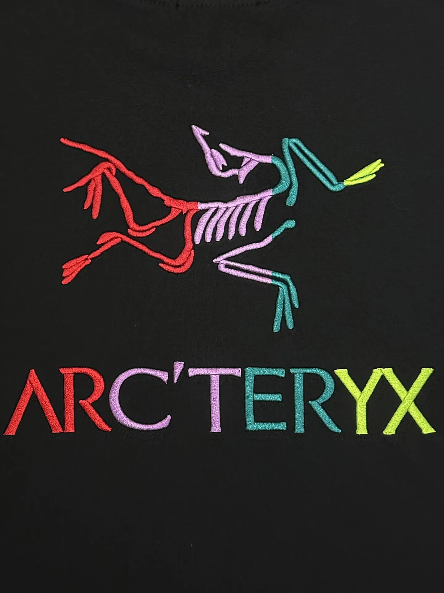 Embroidered Logo Cotton T-Shirt D13513677 — view 6